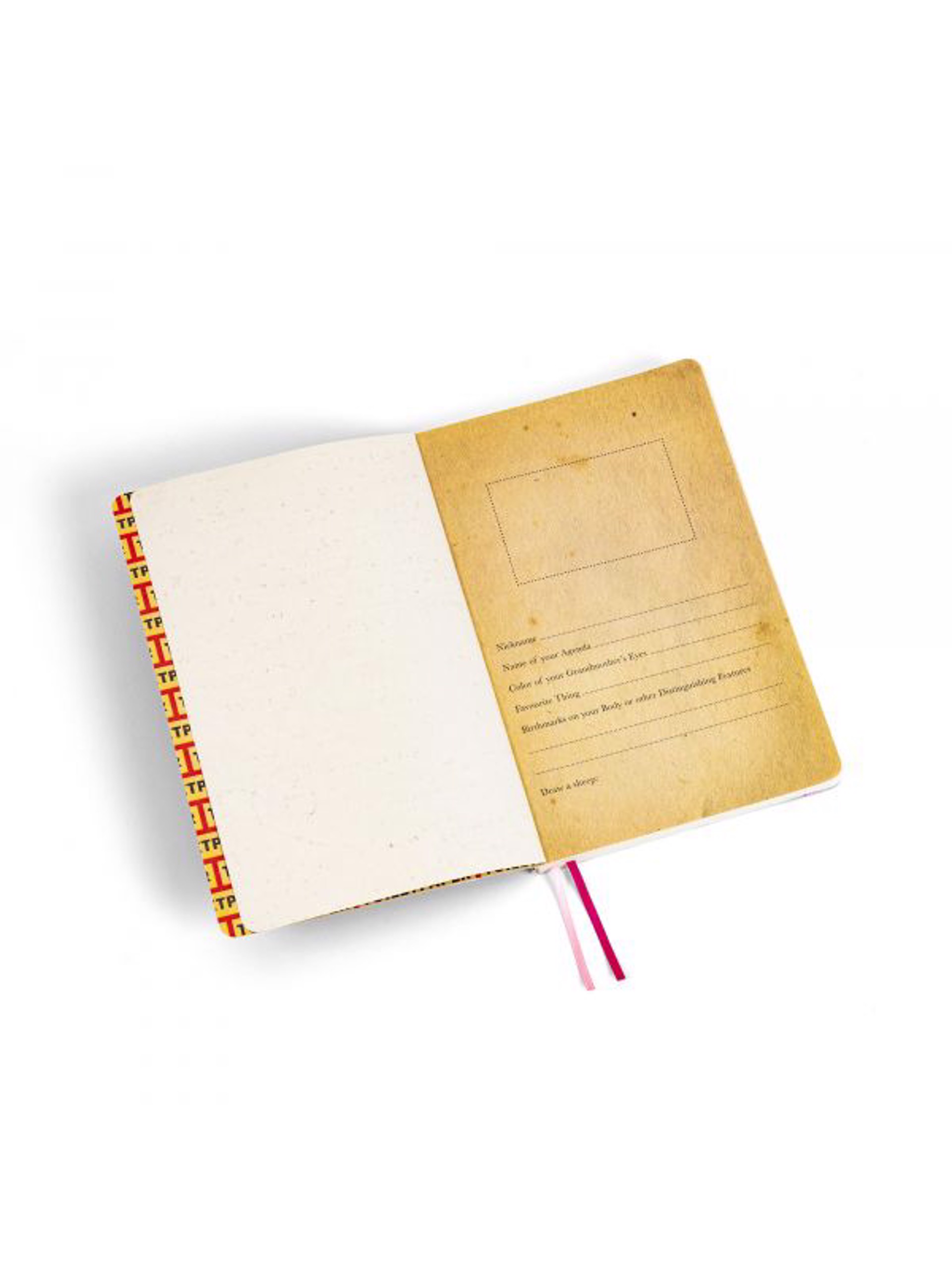 Notebook Medium Snakes