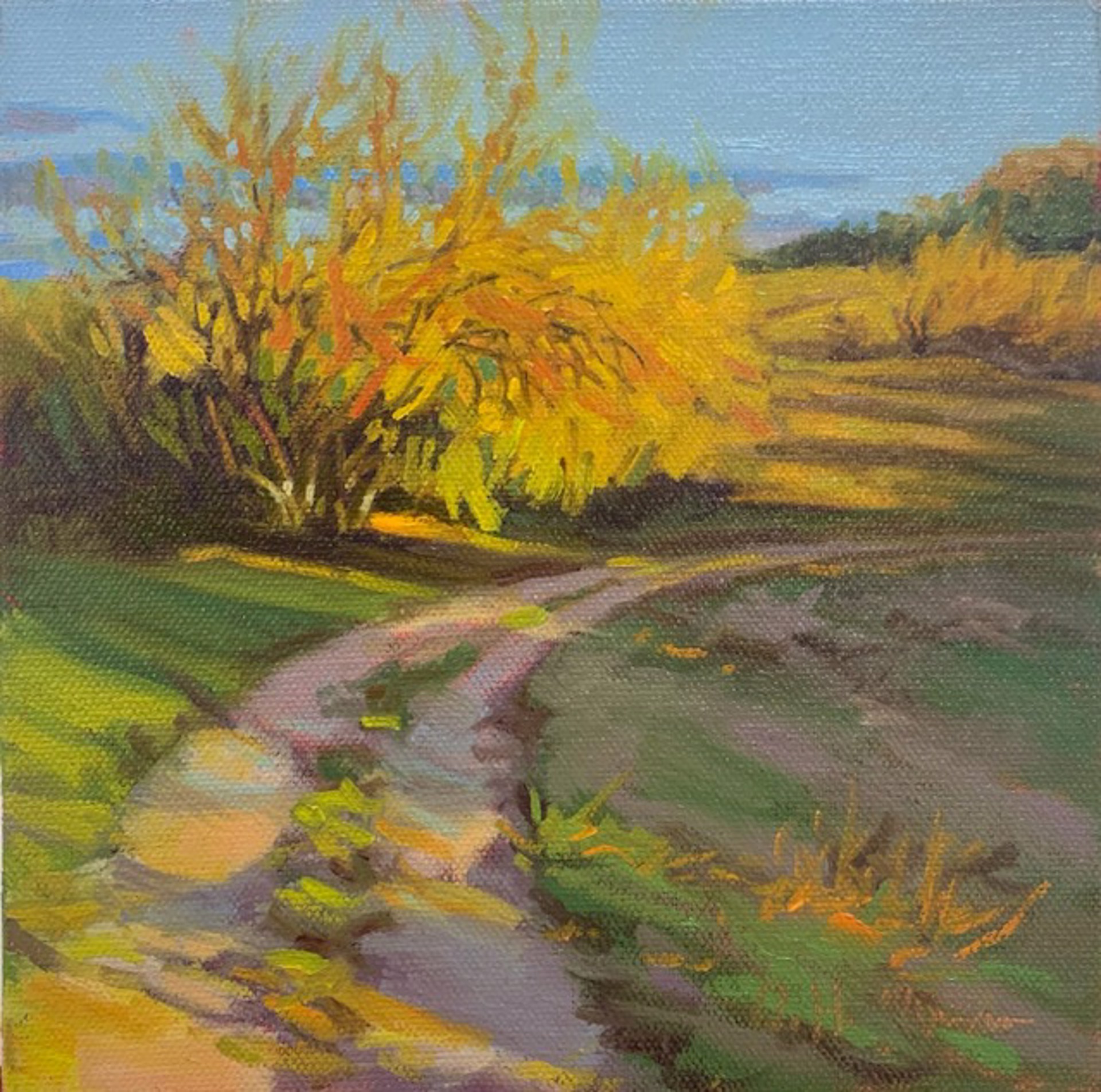 GODLEN LIGHT by Nancy Huffman