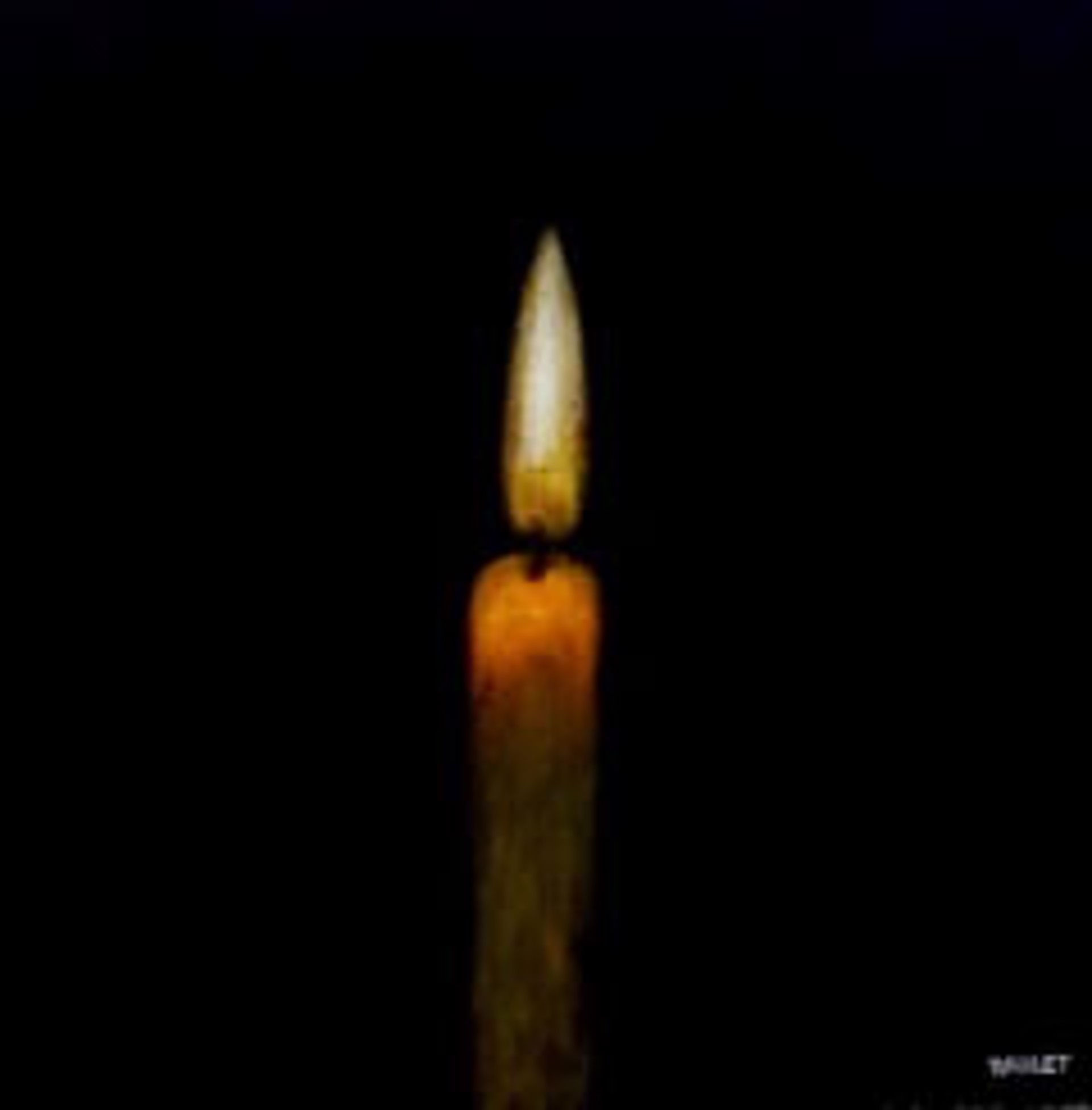 Candlelight by Dawne Raulet