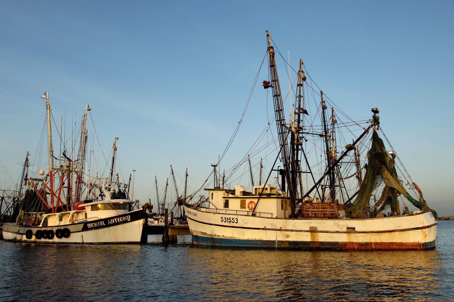 Tampa Bay Shrimp Boats by Carlton Ward Photography