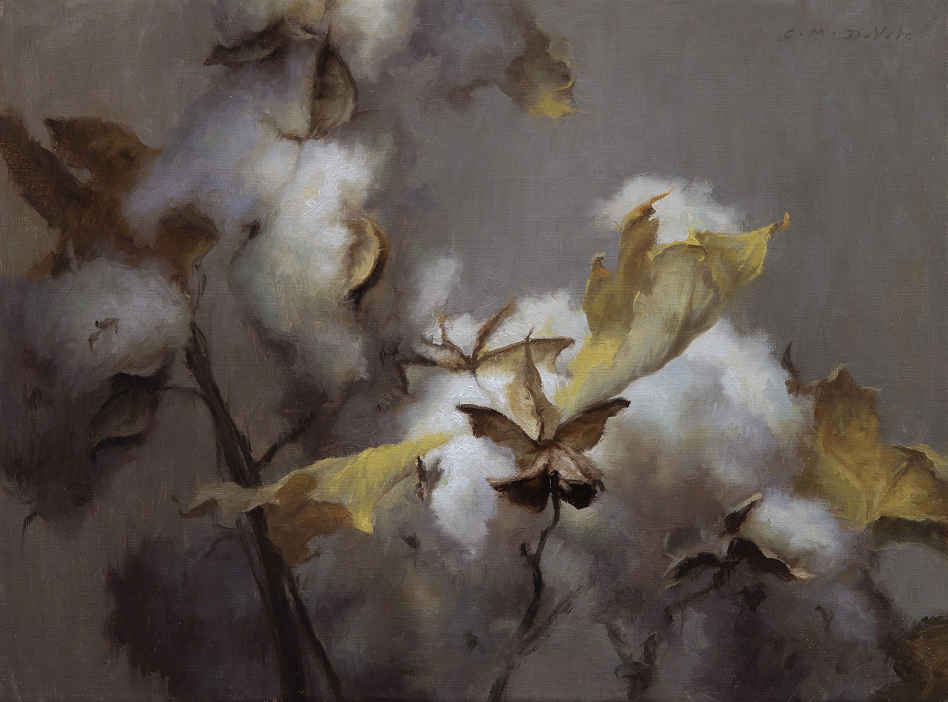 Cotton and Ochre by Grace DeVito
