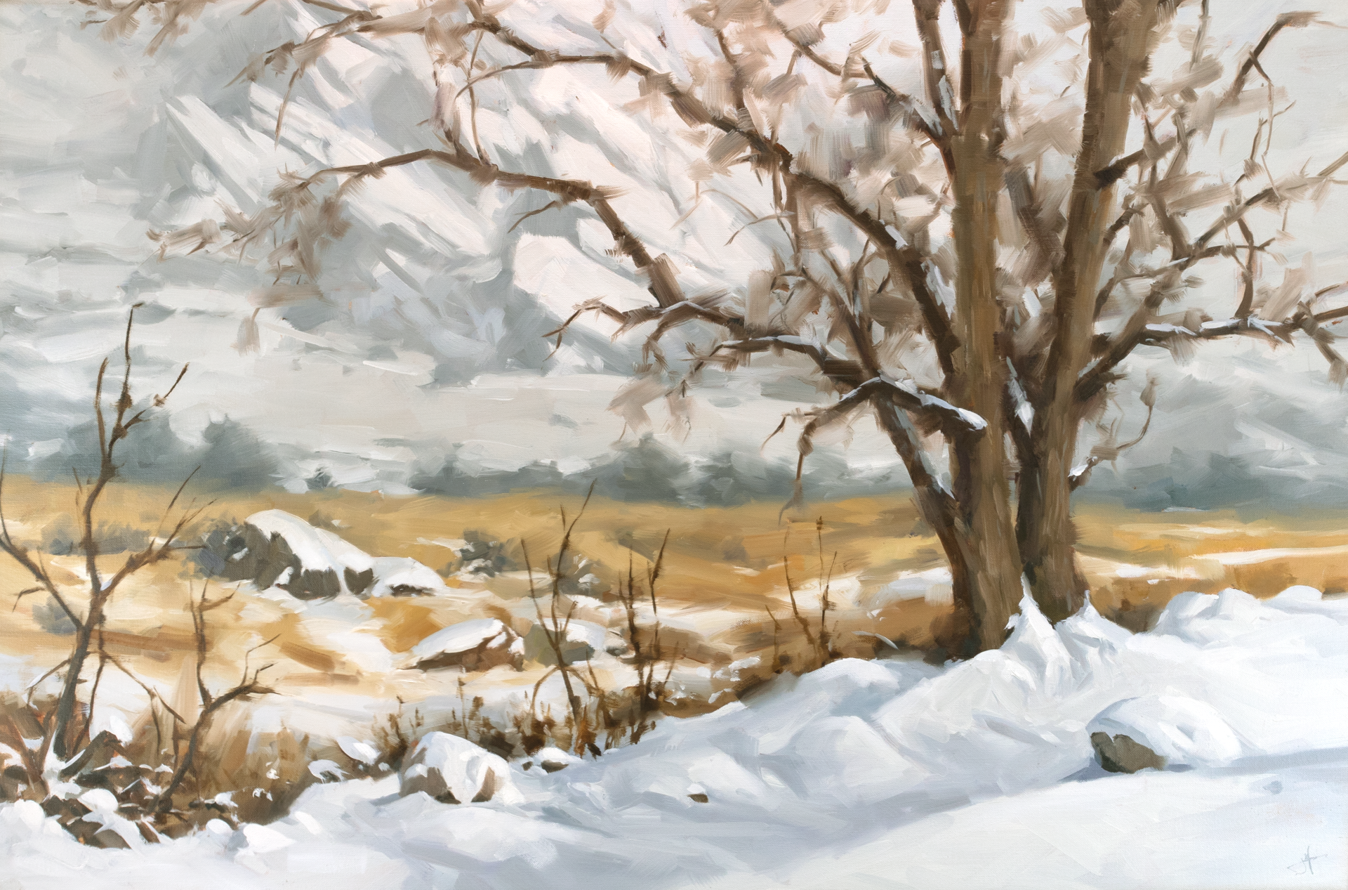 Winter Veil by Judd Mercer