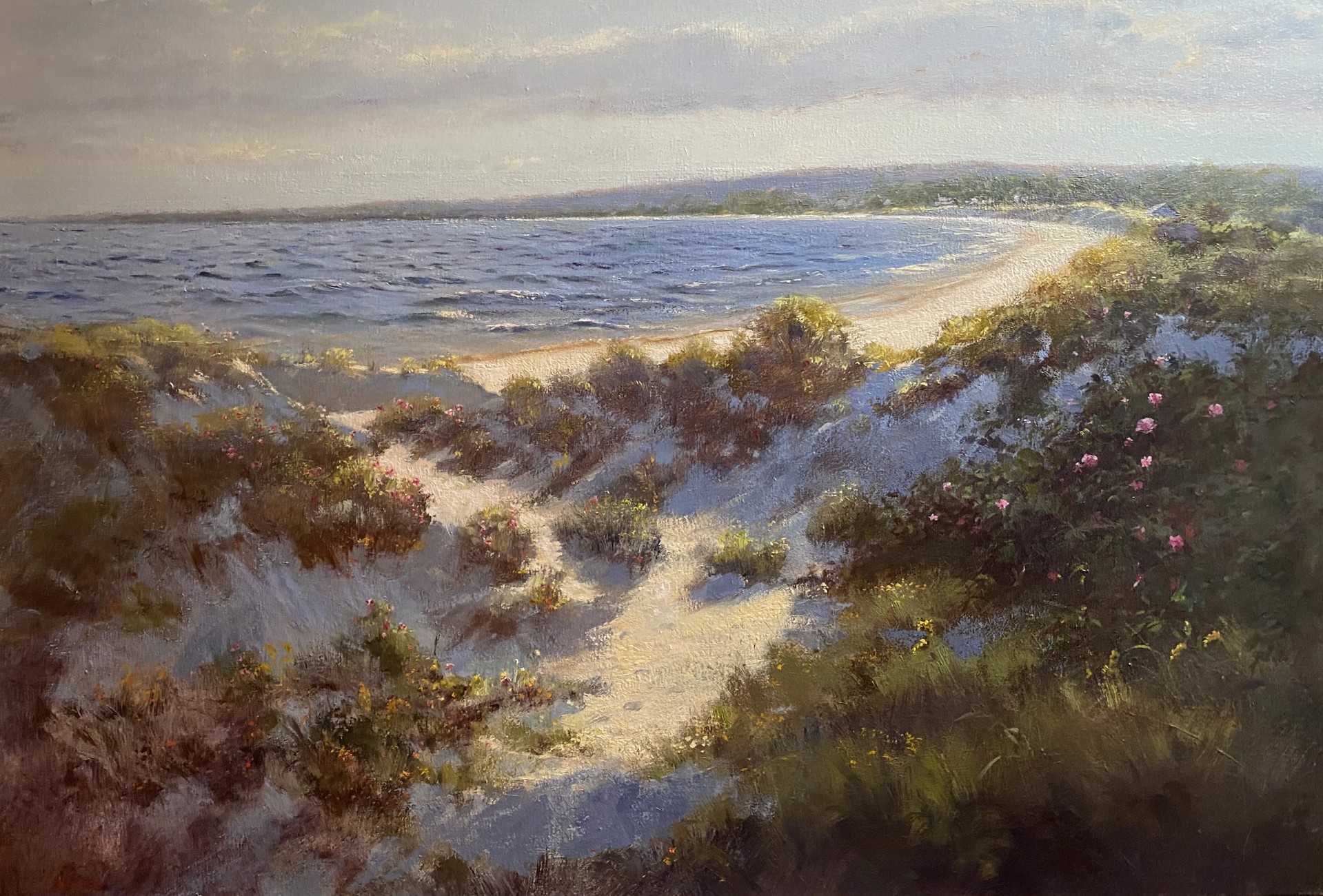 Sparkling Shore by James Magner
