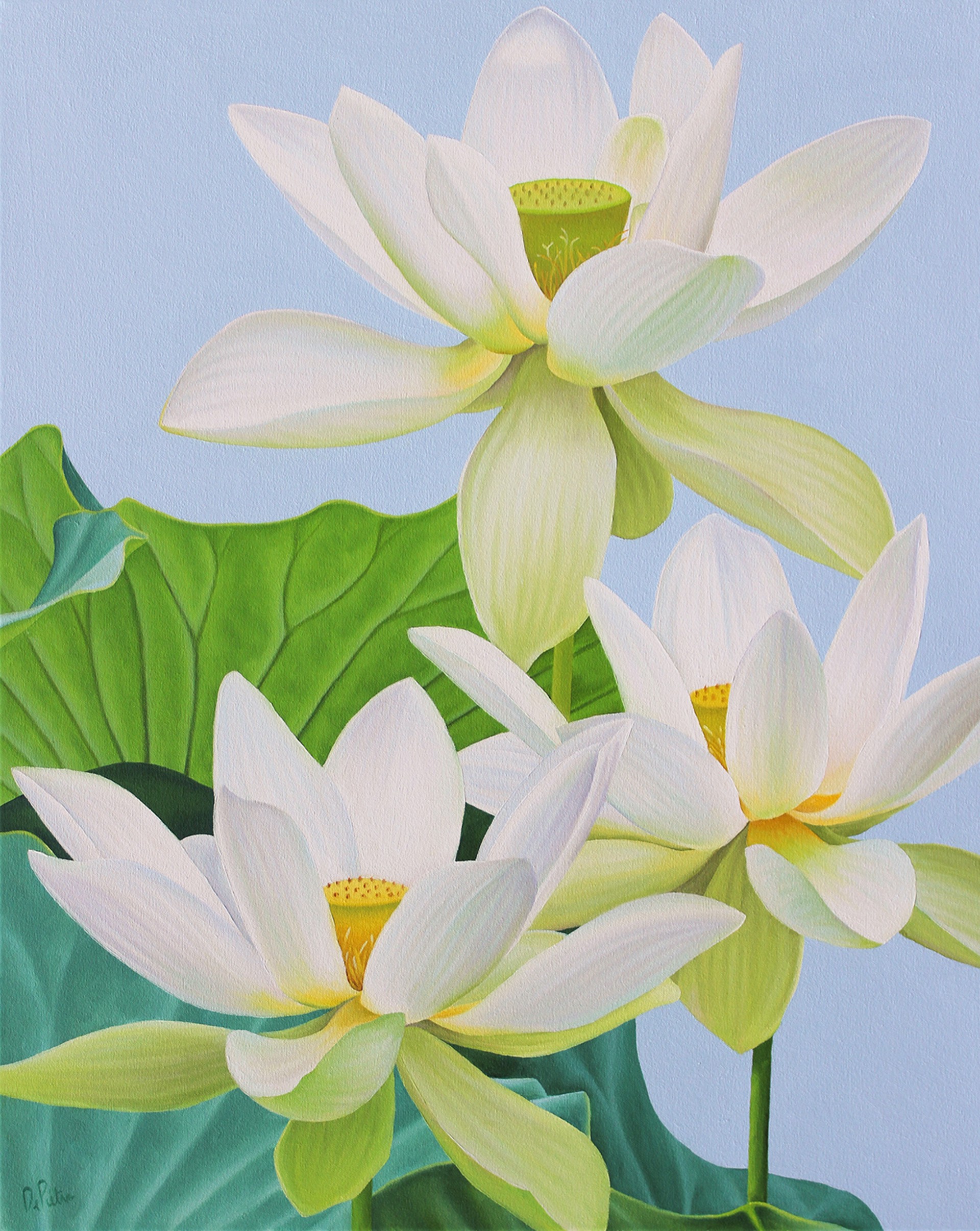 Lotus Number Seventy-Seven by Frank DePietro | Carrie Haddad Gallery