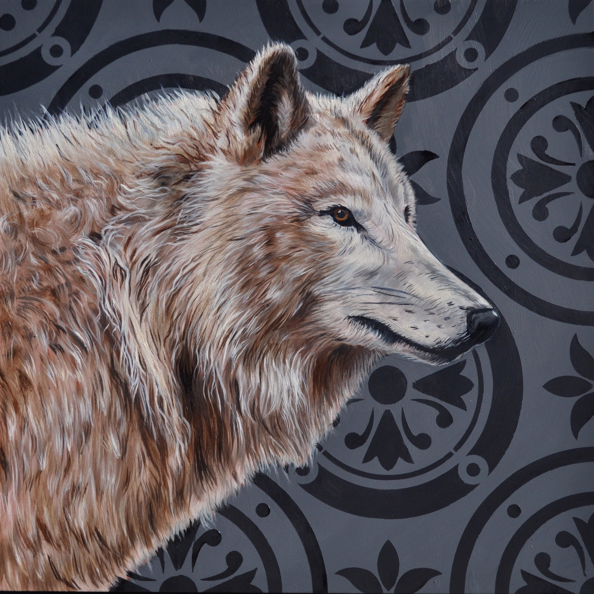 Portrait of a White Wolf by Robin Hextrum