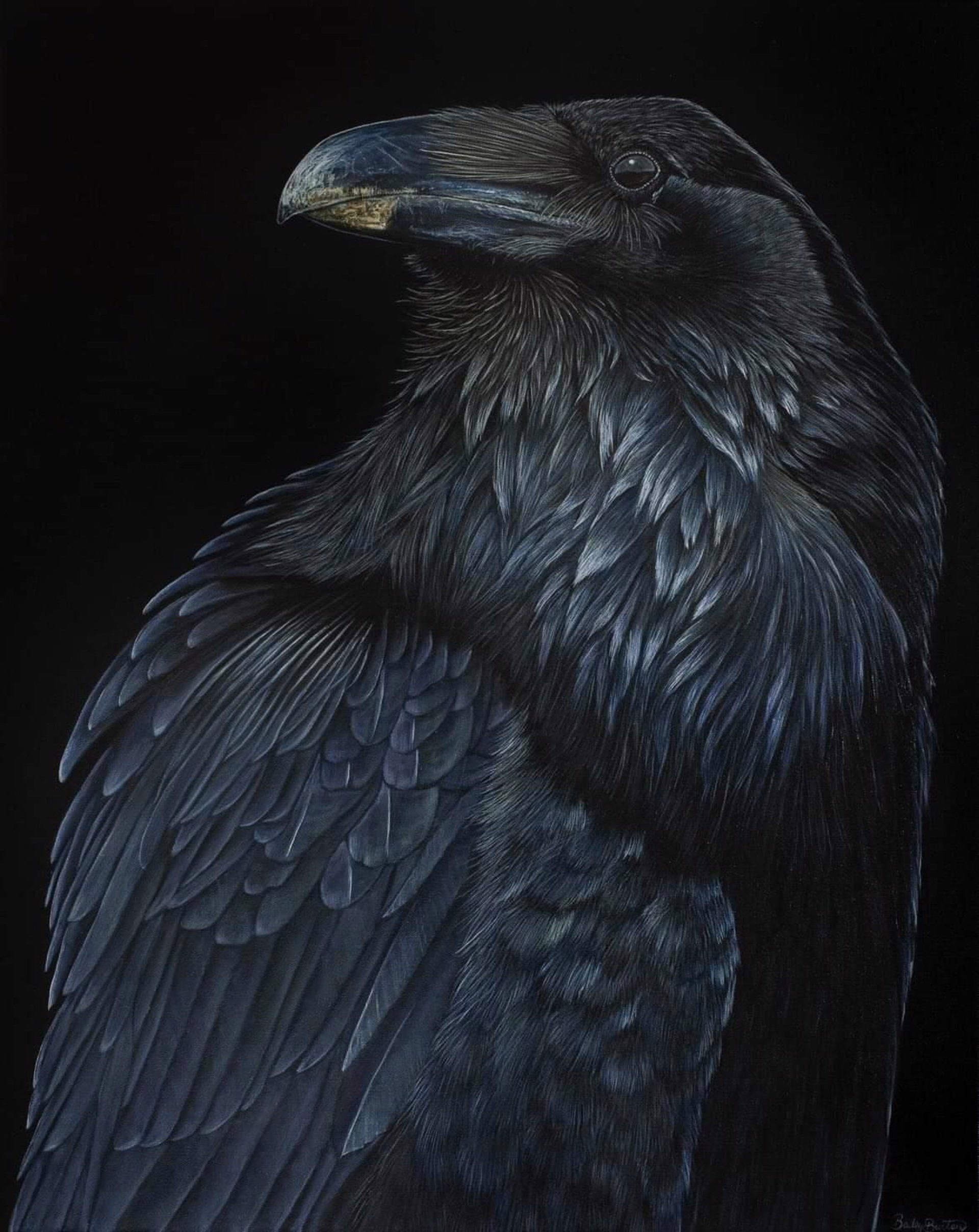 Raven by Bailey Burton