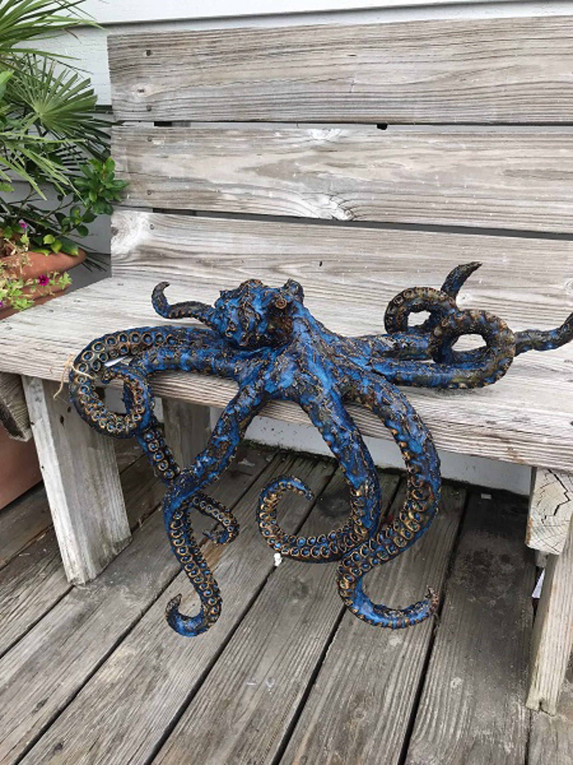 Ocean Blue Shelf Octopus Commission by Shayne Greco | DareSandpiper 