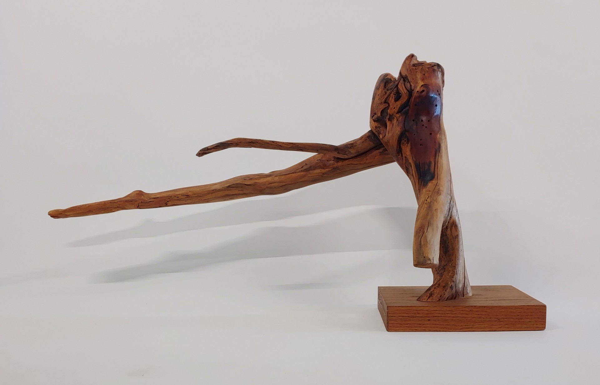 Abstract Leg - Wood Sculpture by David Amdur