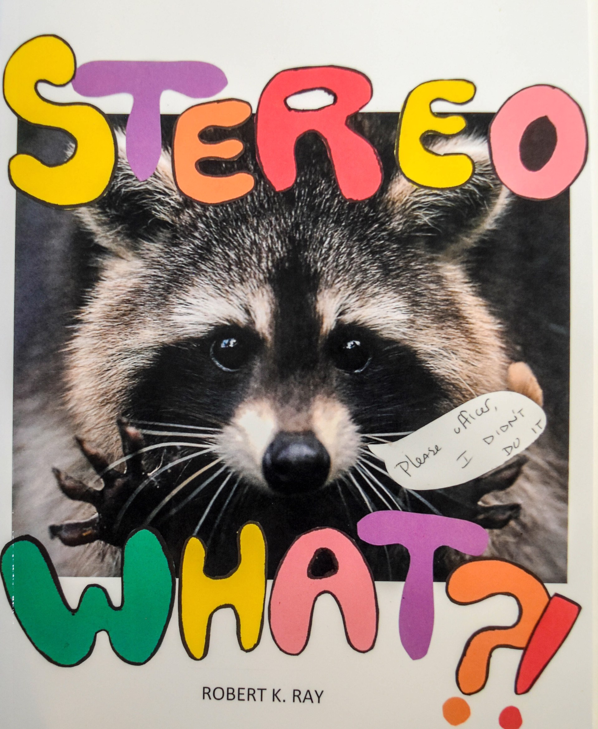 Stereo What?! by Robert Ray