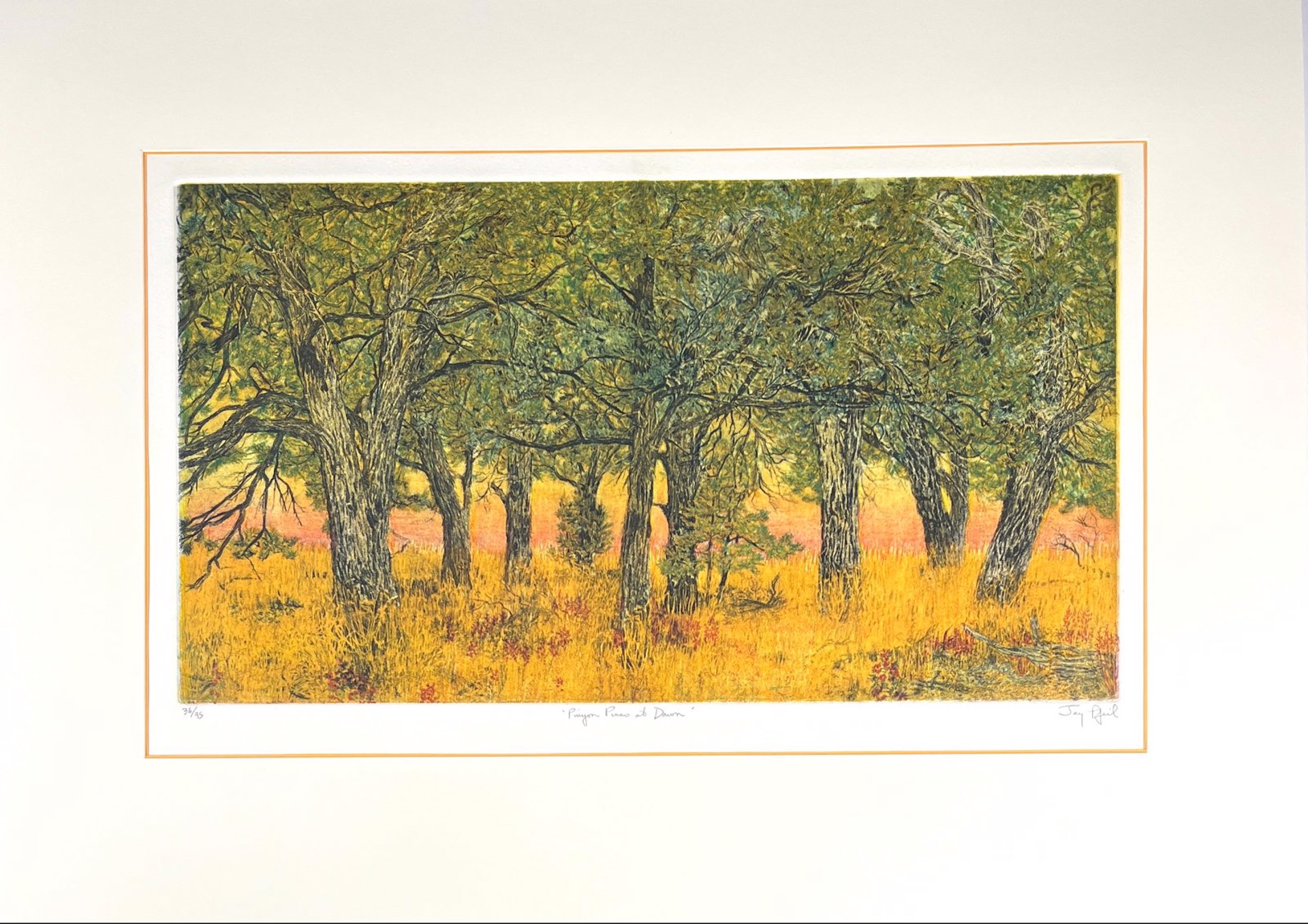 Pinyon Pines at Dawn (36/95) by Jay Pfeil