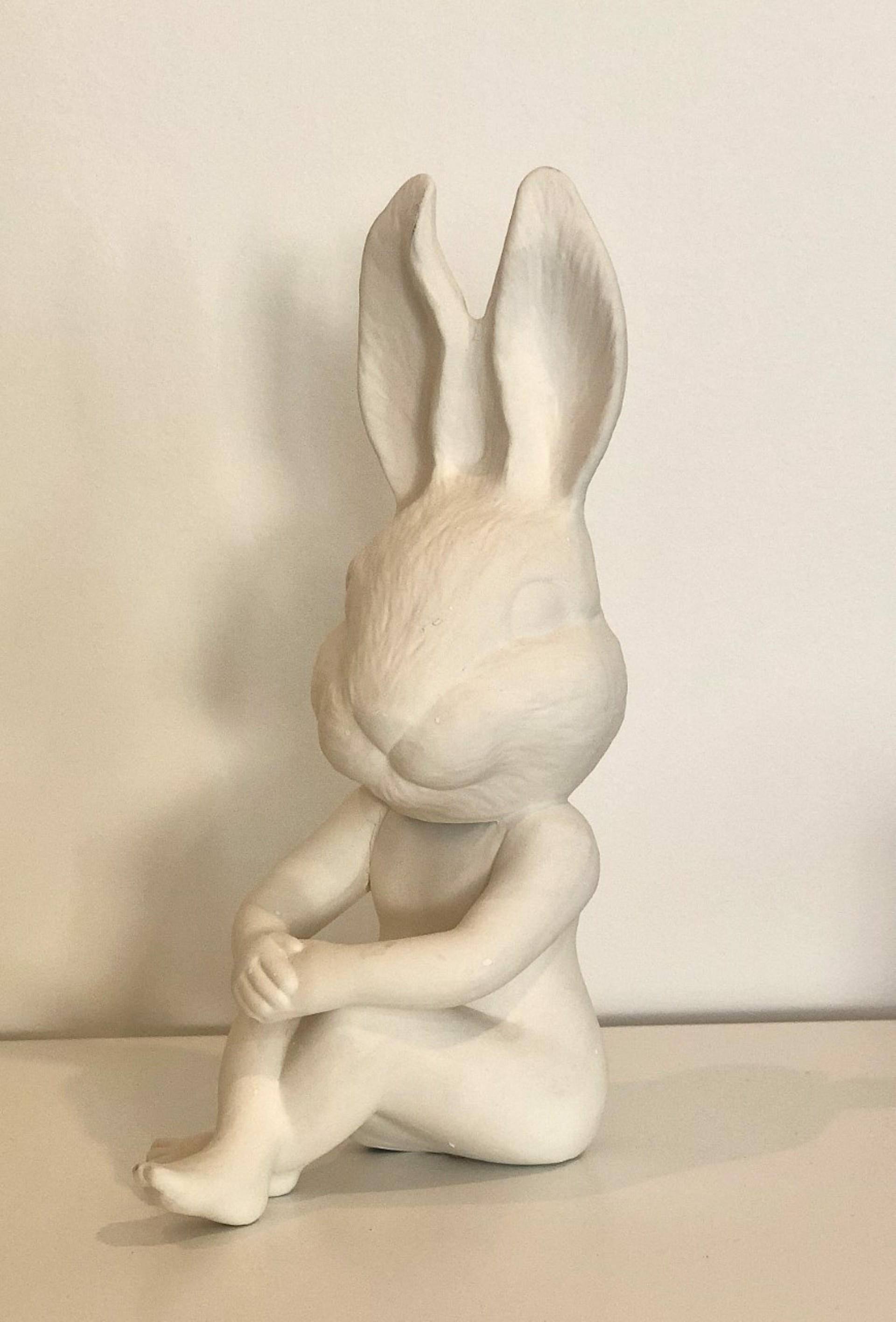 Bunny Abstract #1 by Jeff Herrity
