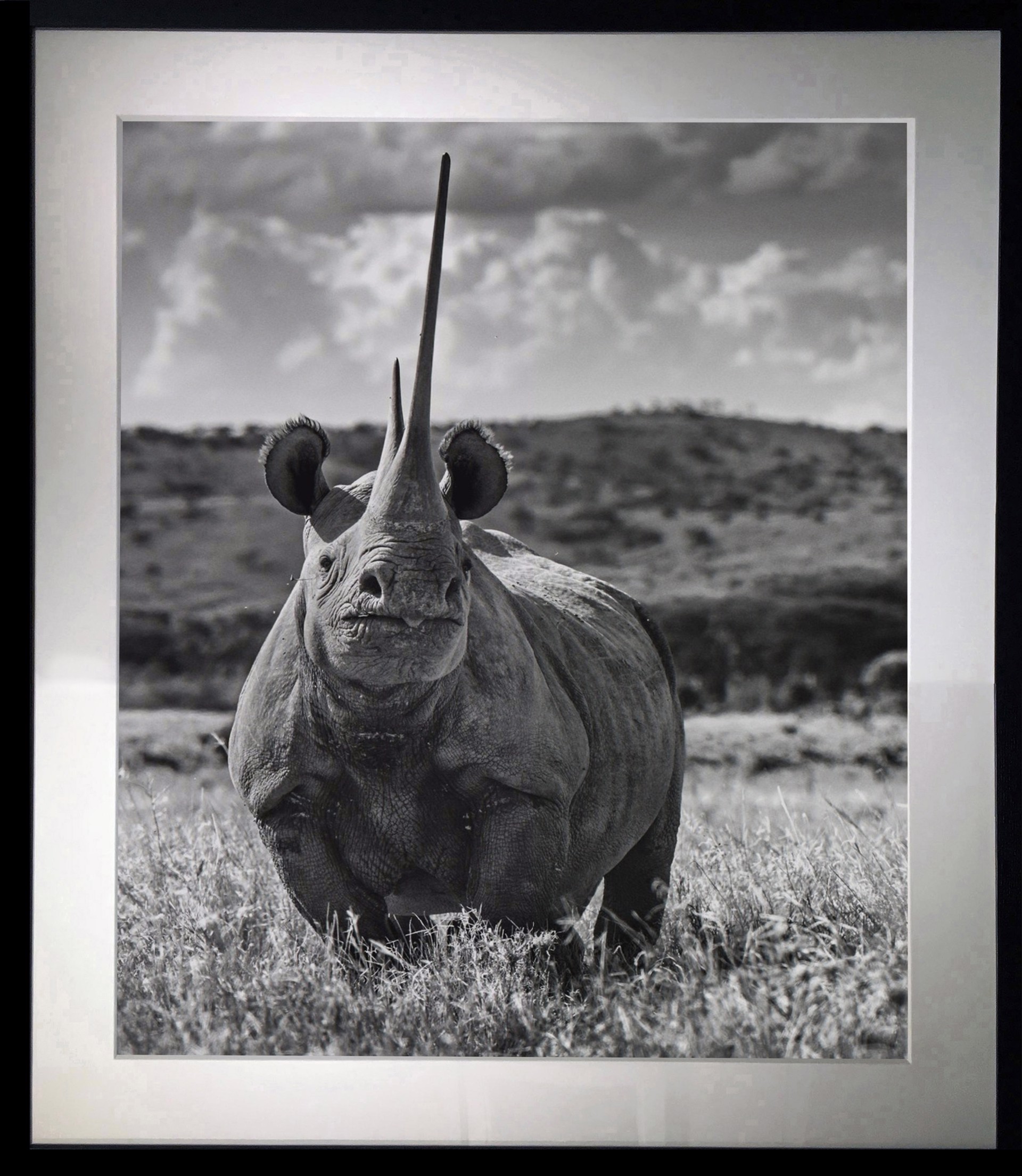 Unforgiven - Rhino by David Yarrow