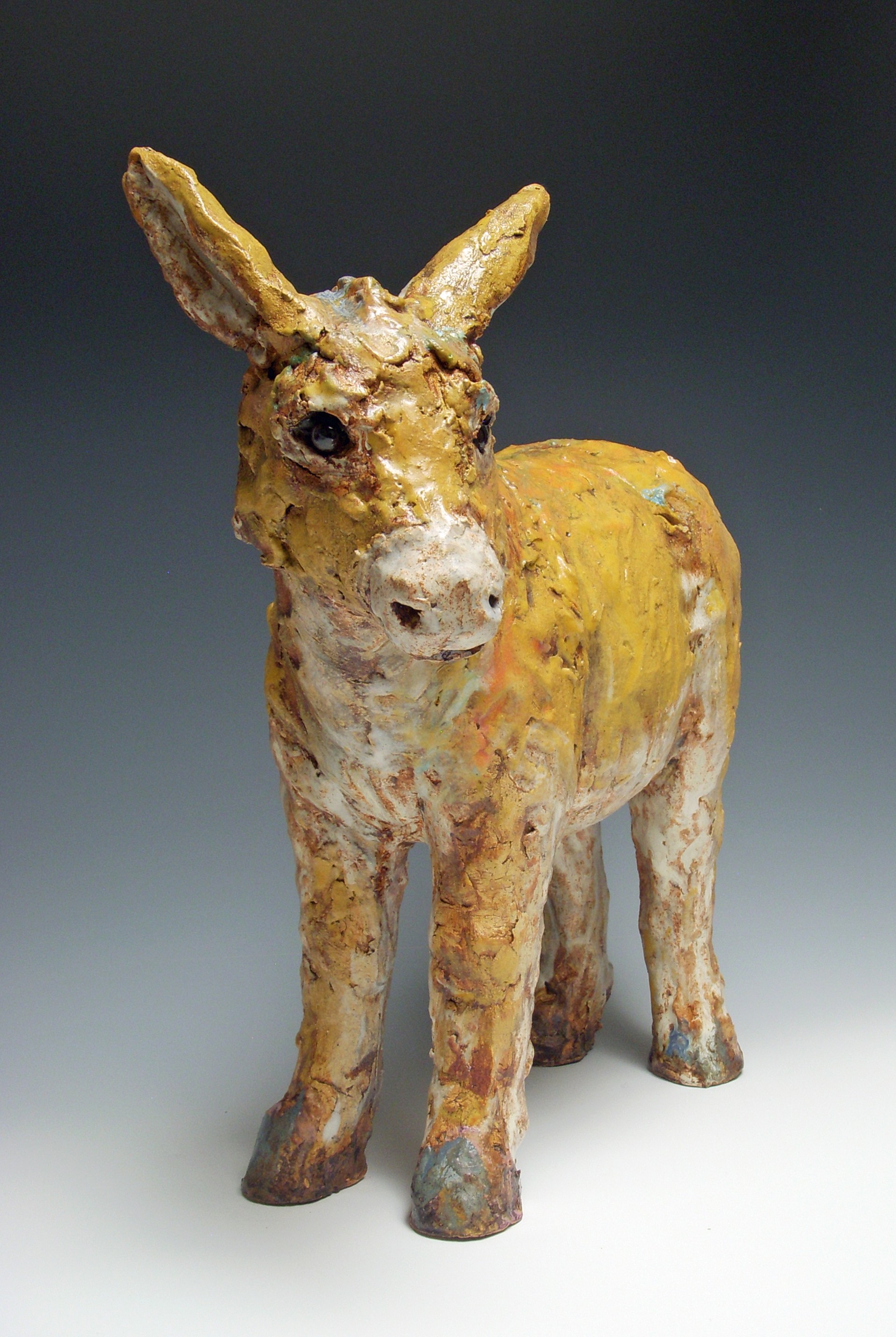 Turmeric (burro) by Kari Rives