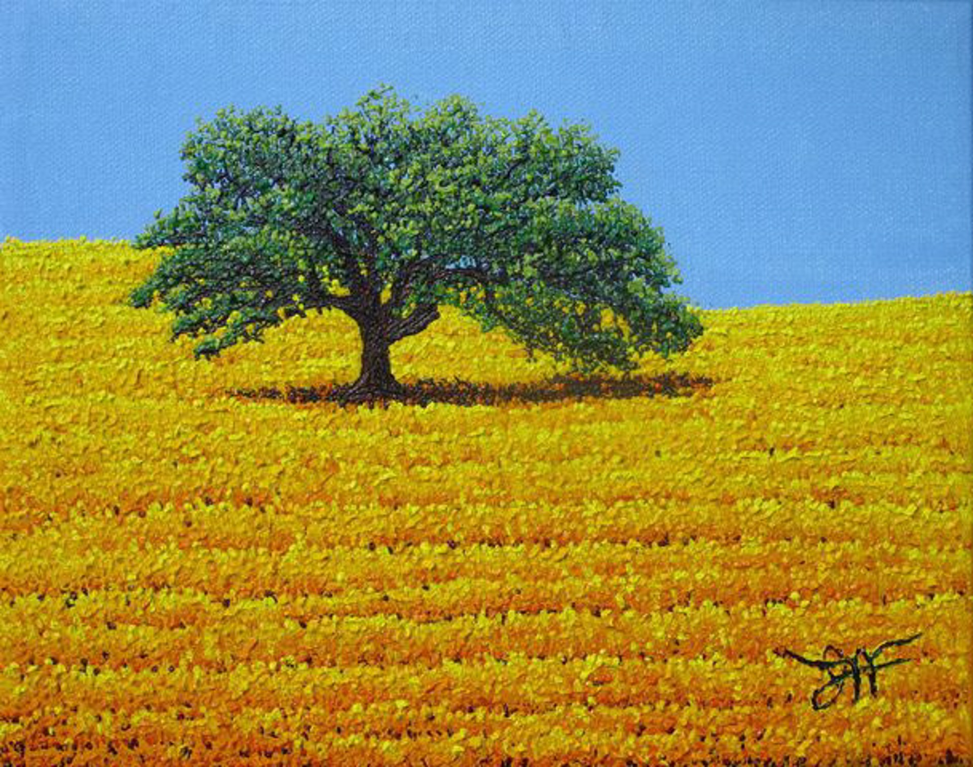 Prairie Oak by Jay Maggio