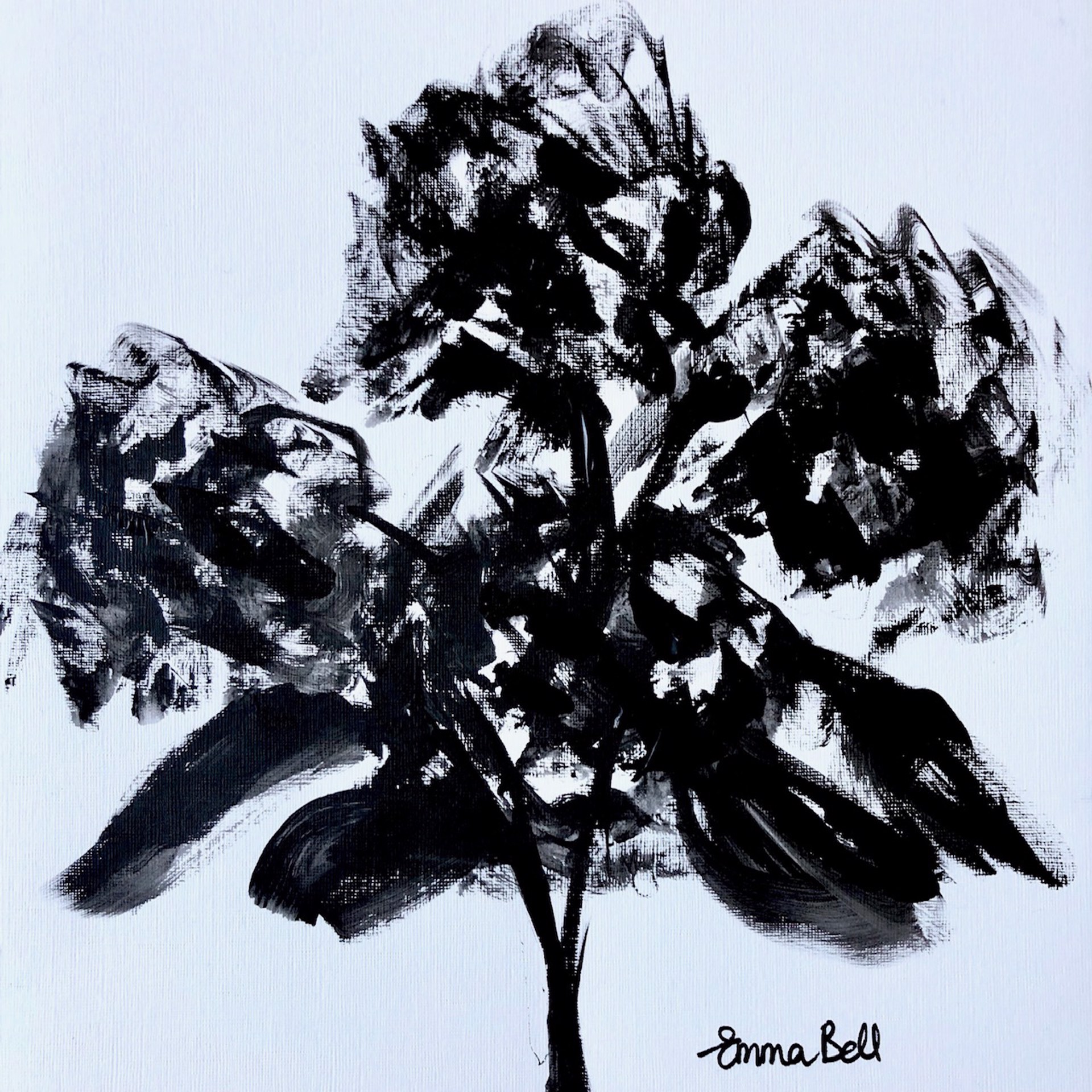 Black & White 4 Hydrangeas by Emma Bell