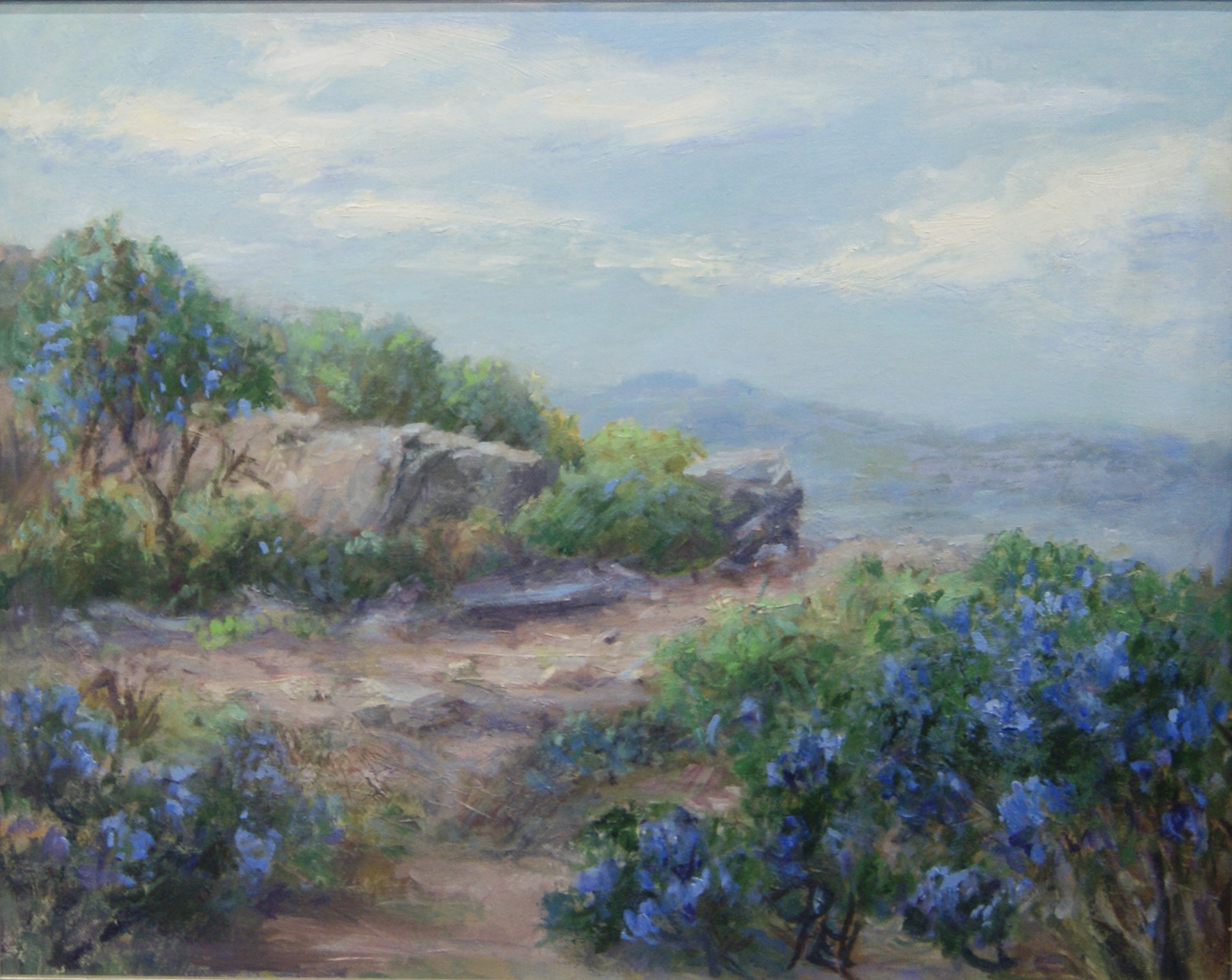 Texas Mountain Laurel by Lilli Pell