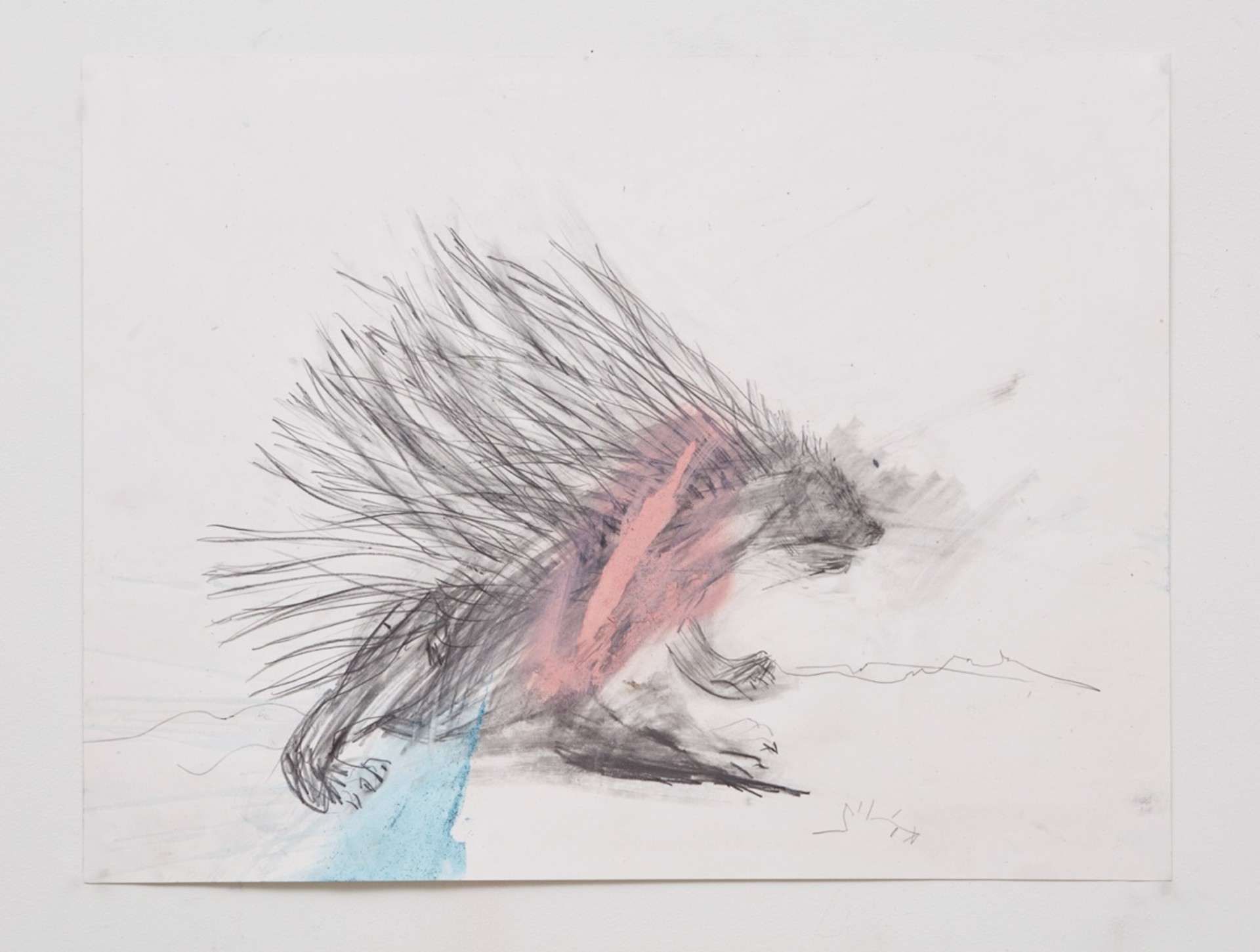 Powered Porcupine by Jeannie Weissglass