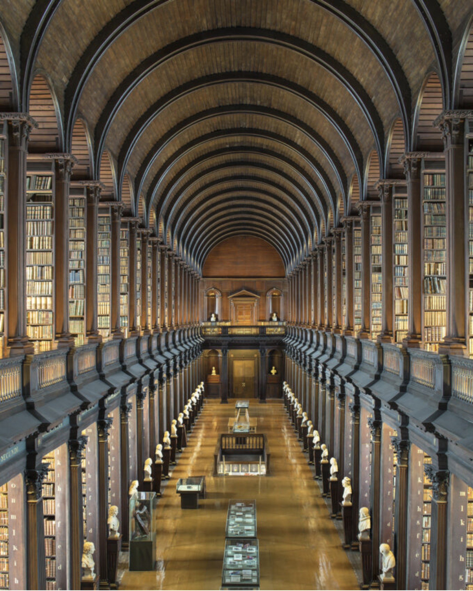 Long Room, Library of Trinity College, Dublin, Ireland by Reinhard Gorner