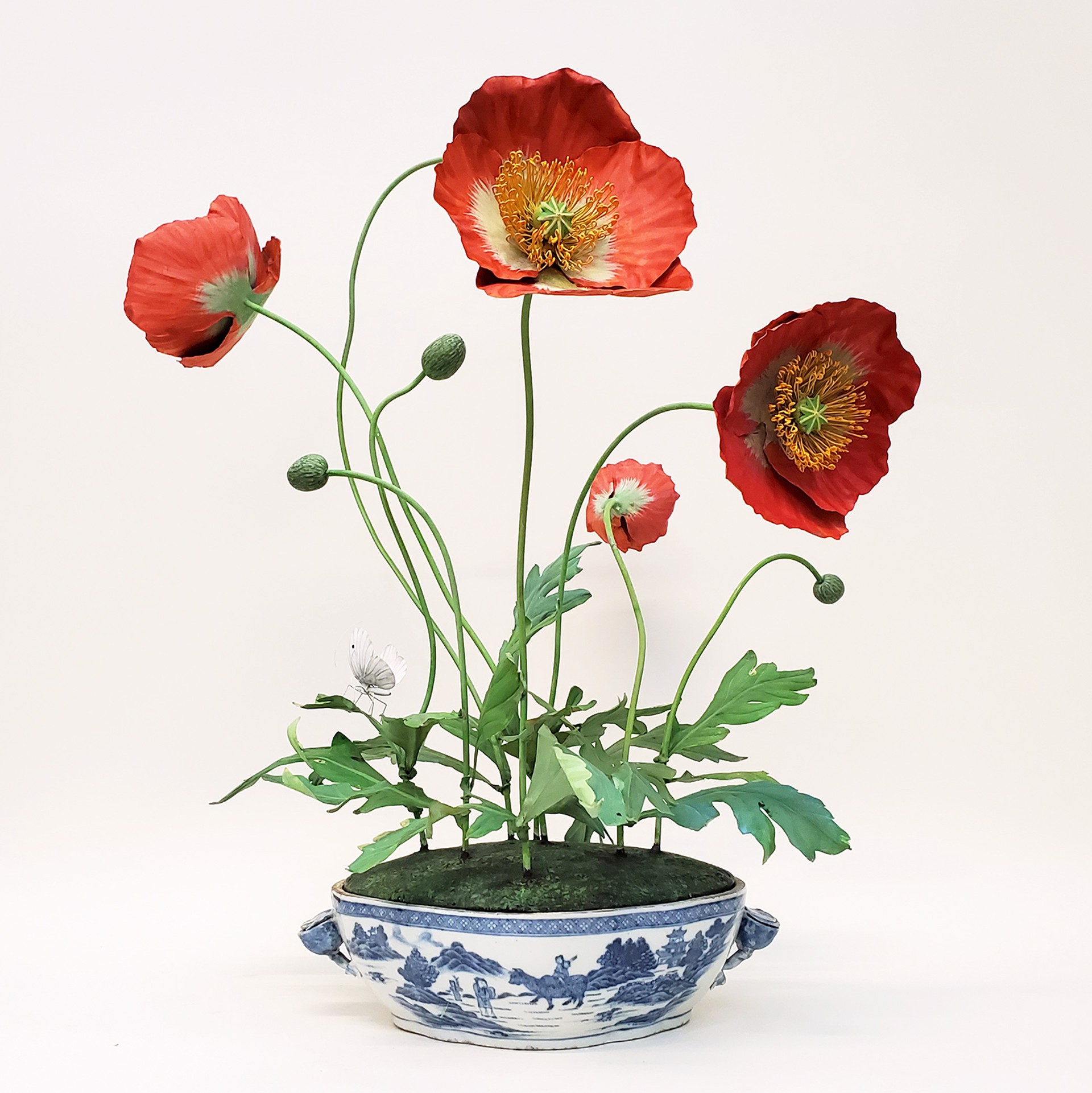 POPPY WITH ANTIQUE BLUE AND WHITE PORCELAIN POT by Carmen Almon