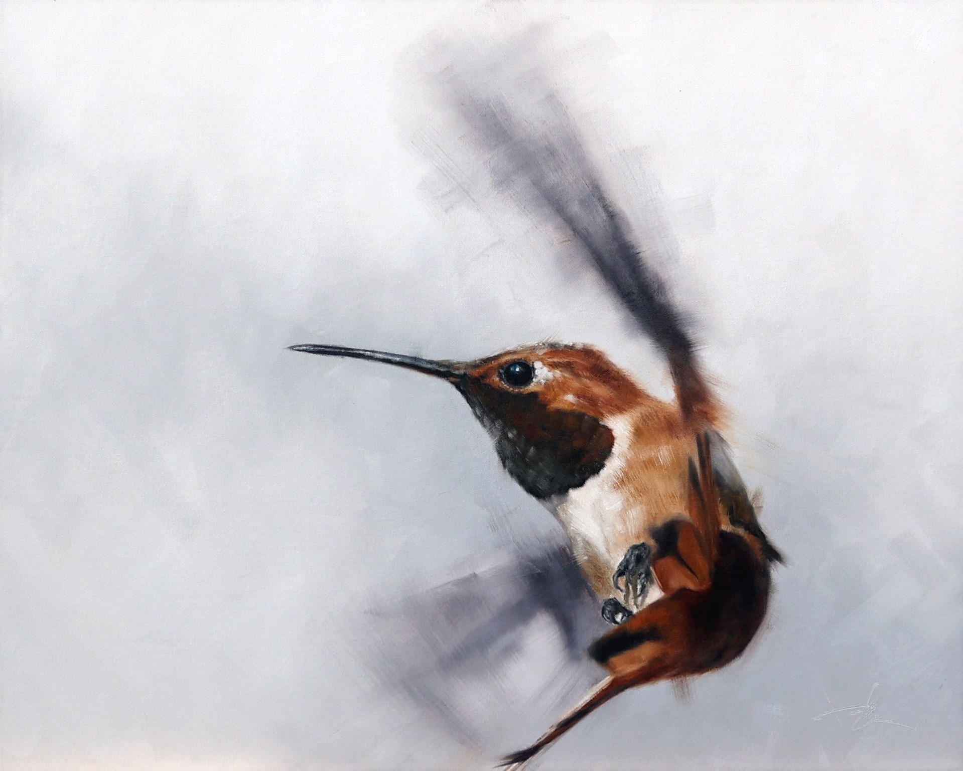 Original Oil Painting By Doyle Hostetler Featuring A Male Rufus Hummingbird In Flight