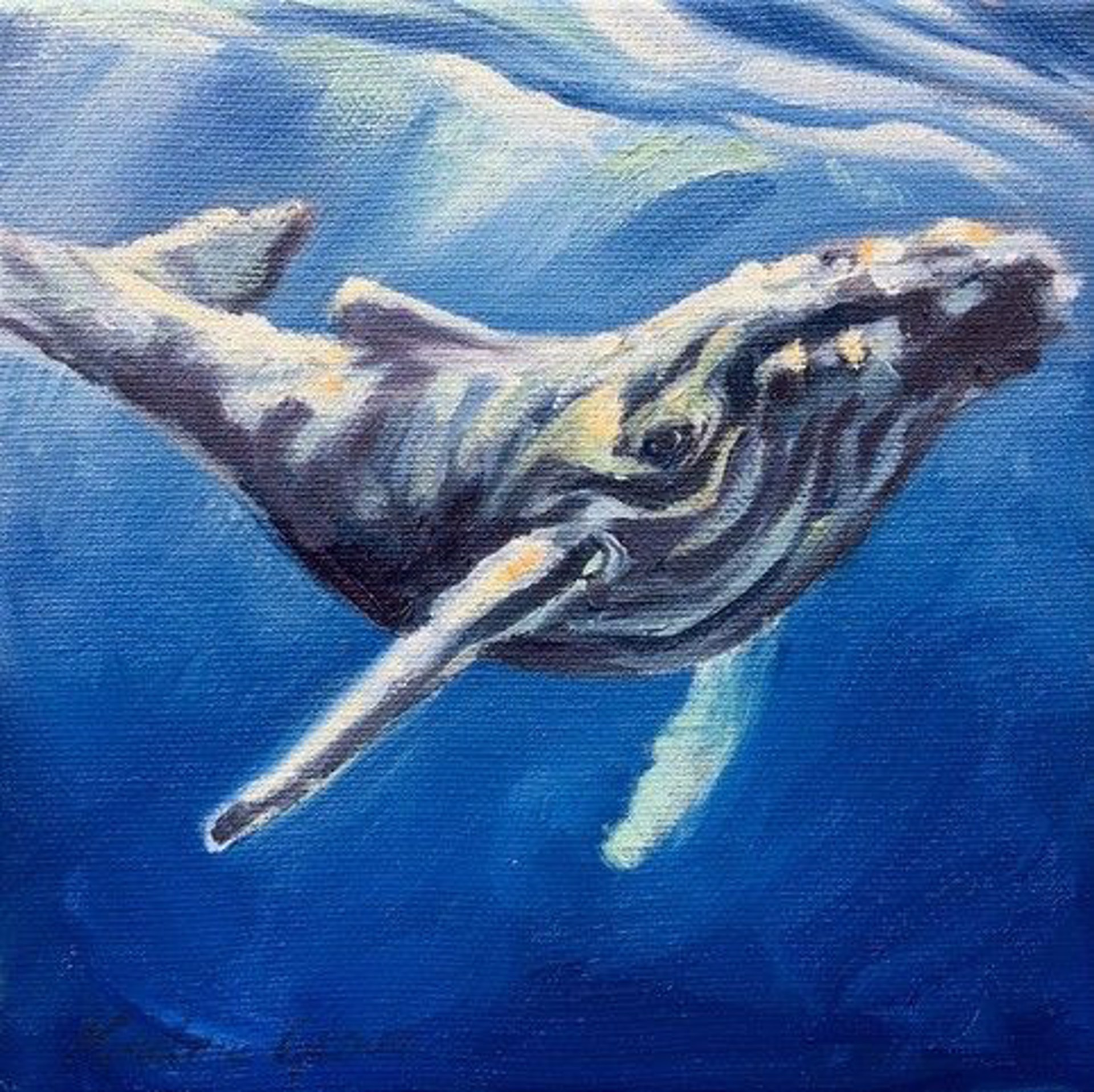 Celebration, Humpback Whale by KINDRIE GROVE