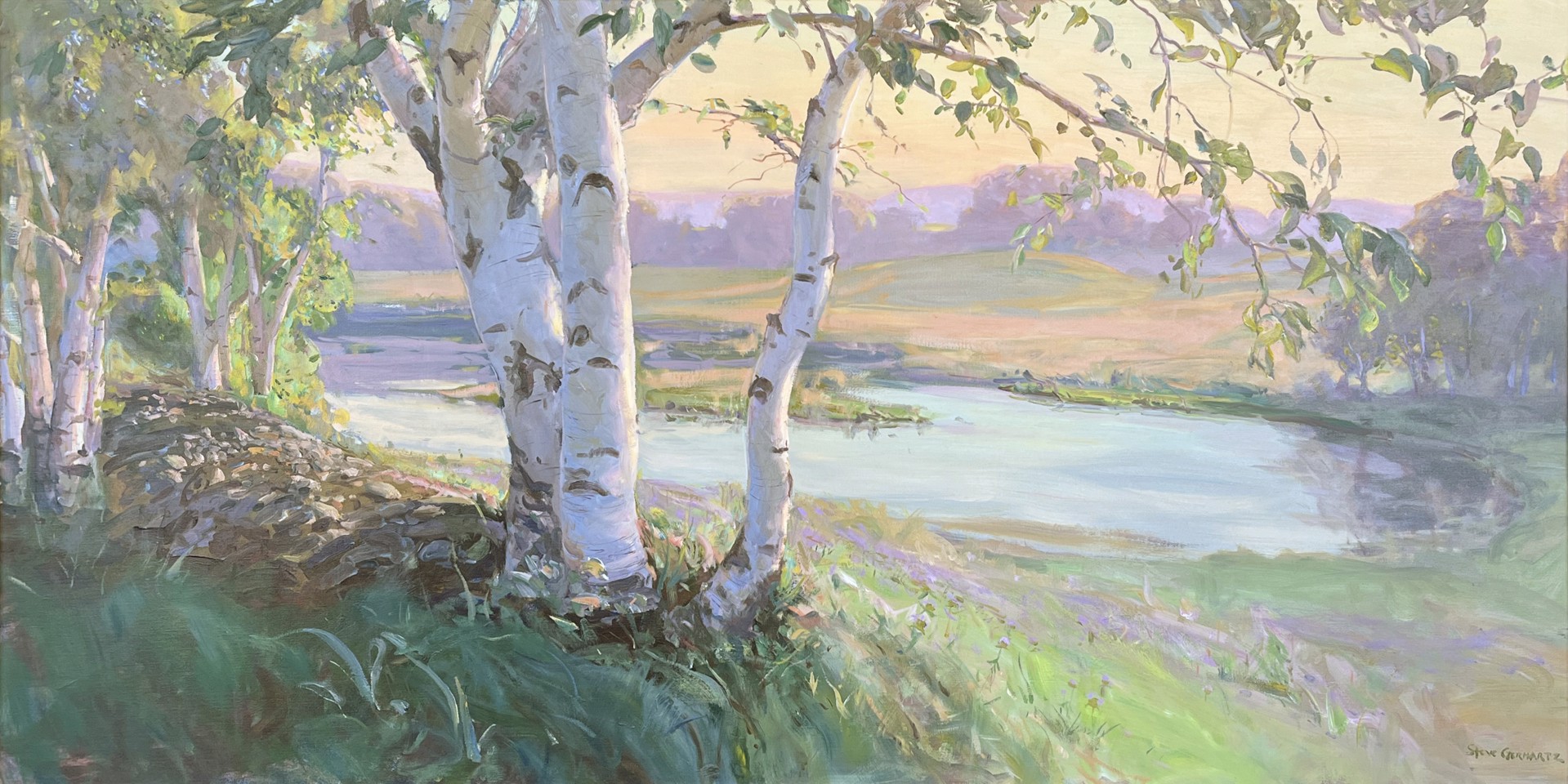 Birches on a Hill by Steve Gerhartz