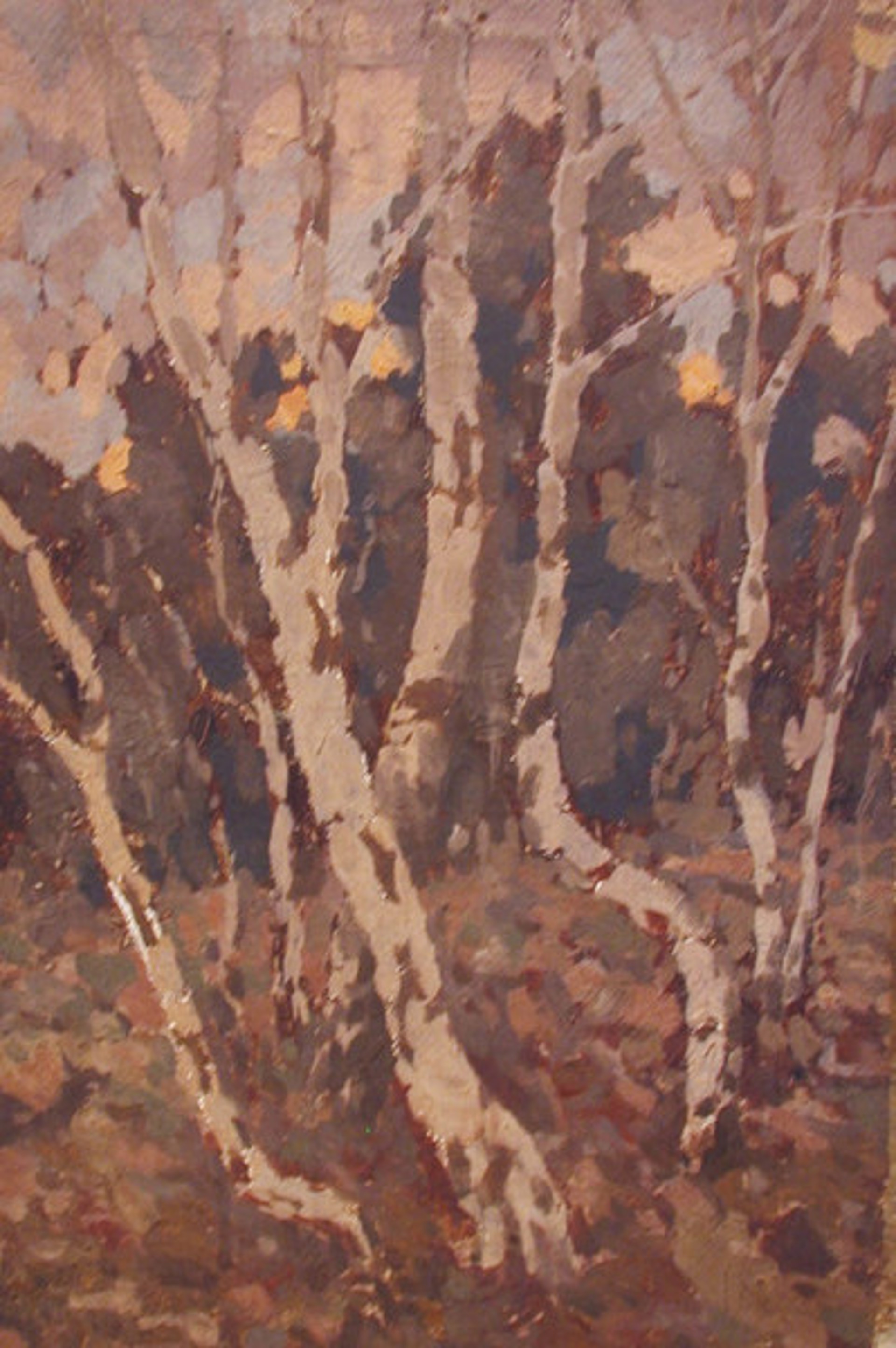 Birches by Mikhail M. Bekenev