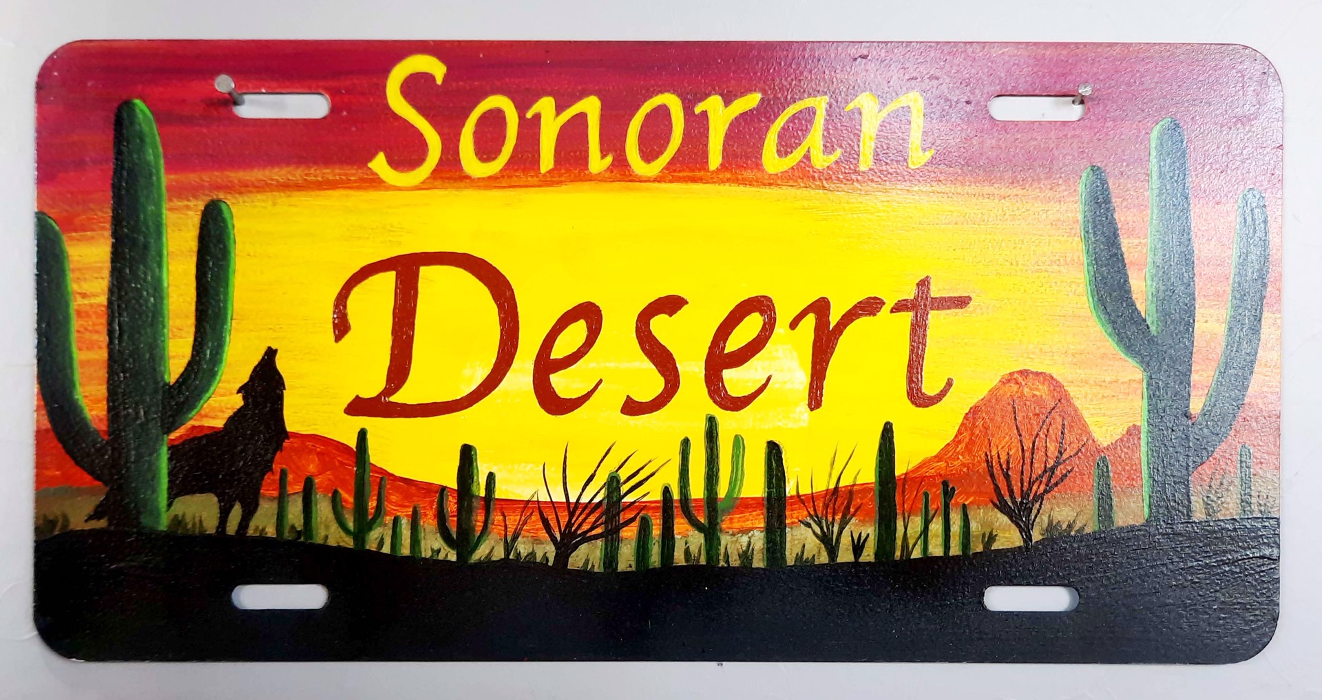 Sonoran Desert w/ Coyote License Plate, 474 by John Wulf