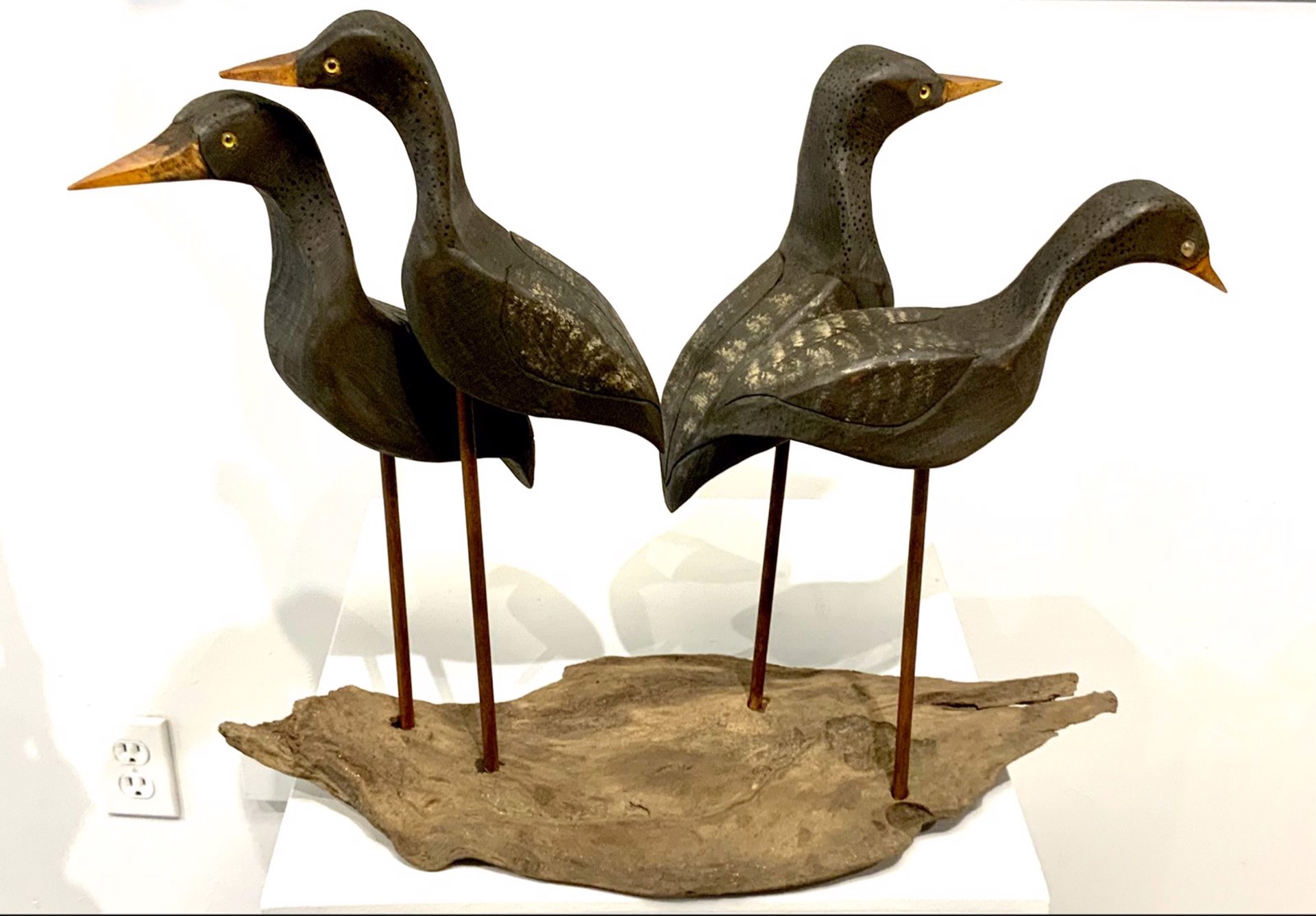 Shore Birds by BJ Precourt