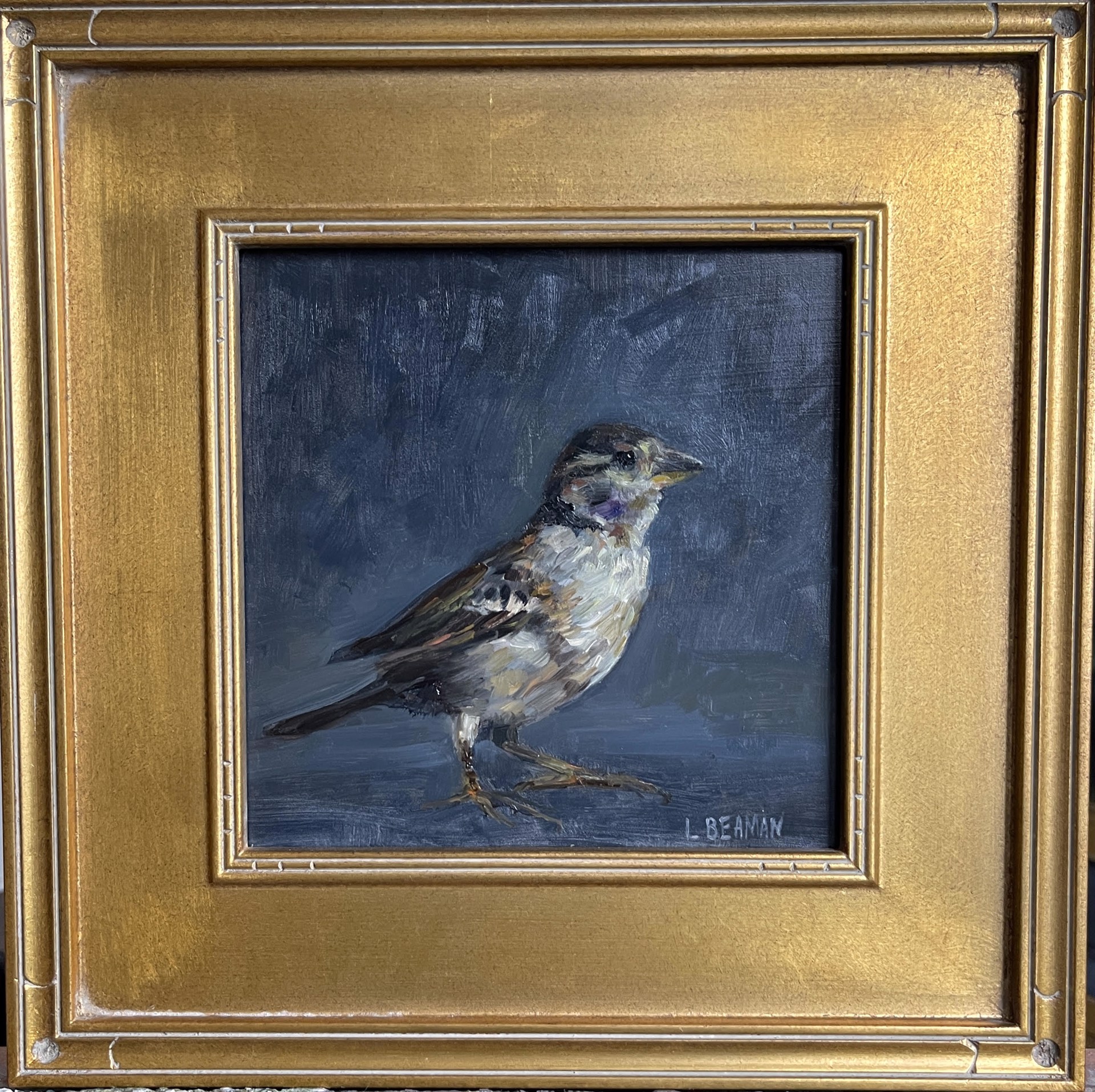 Sparrow by Lisa Beaman
