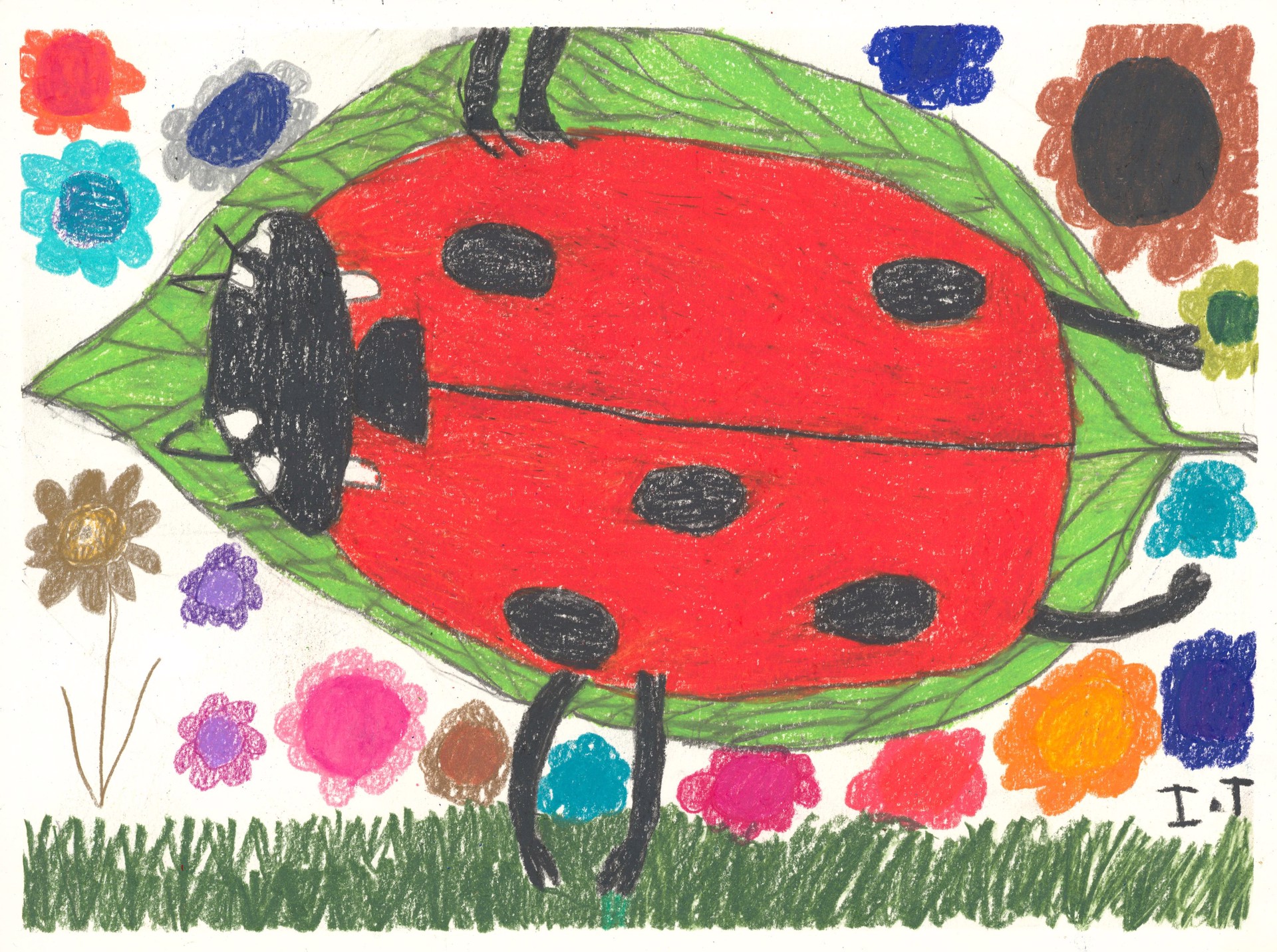 Ladybug is Happy by Imani Turner
