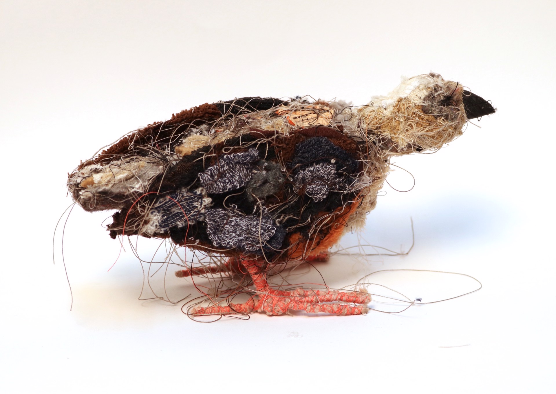 Bird 16 by Robb Putnam