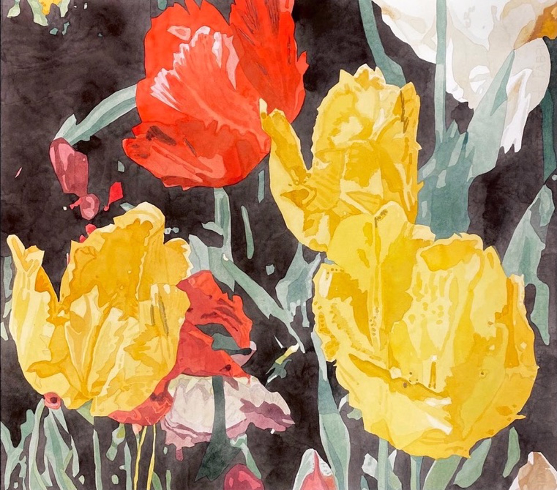 Tulips by Bradley Kerl
