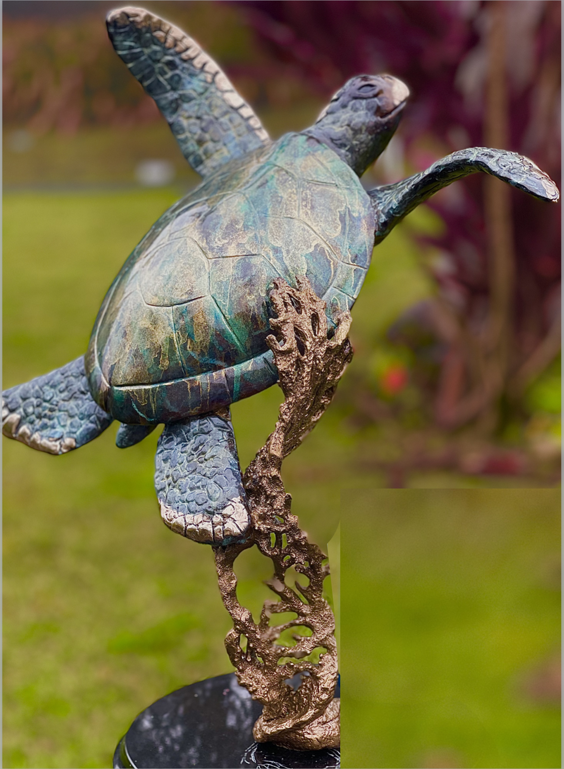 Honu Mana (on Lace Coral) by Scott Hanson
