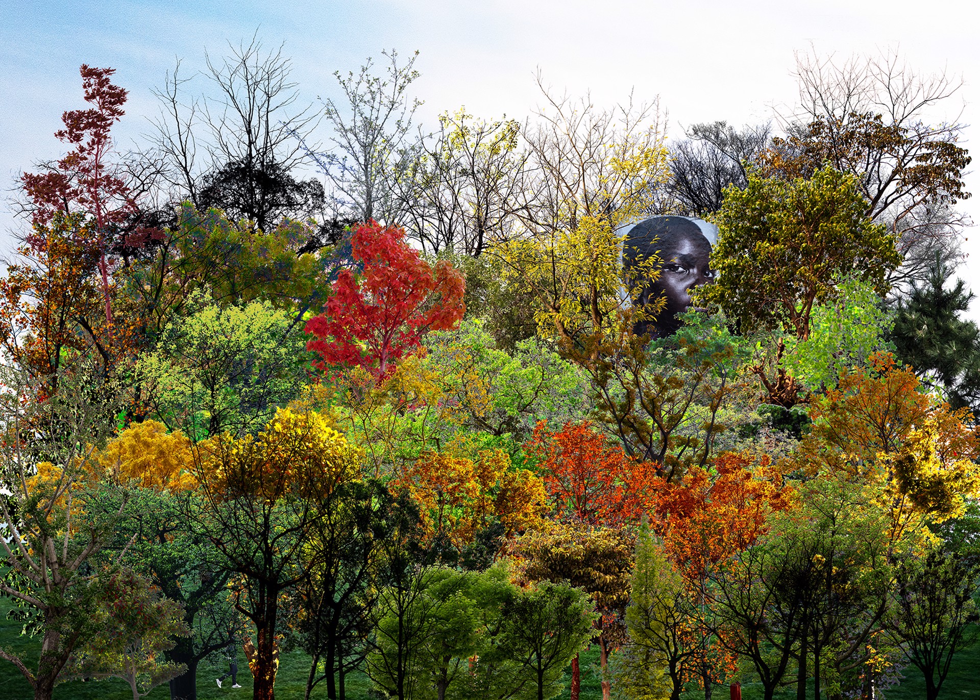 Urban Forests_03 by Young Sam Kim