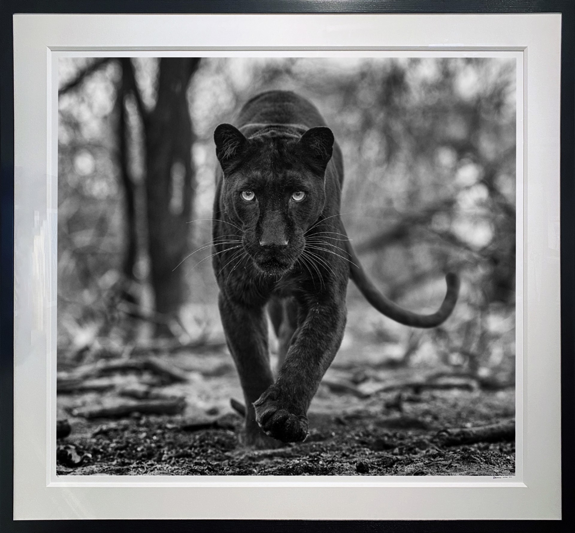Remains of the Day by David Yarrow