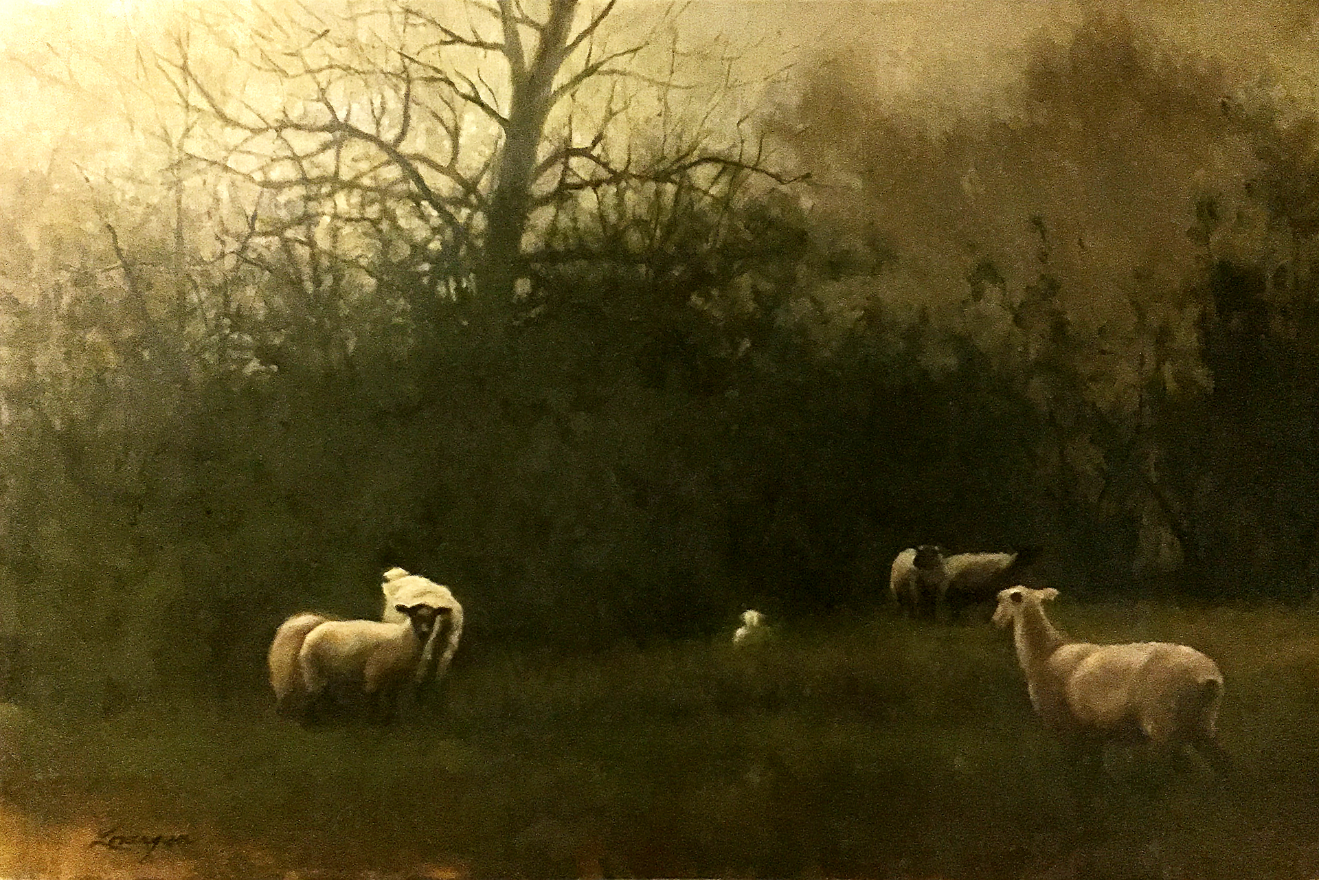 Sheep at Dusk by John Lonergan