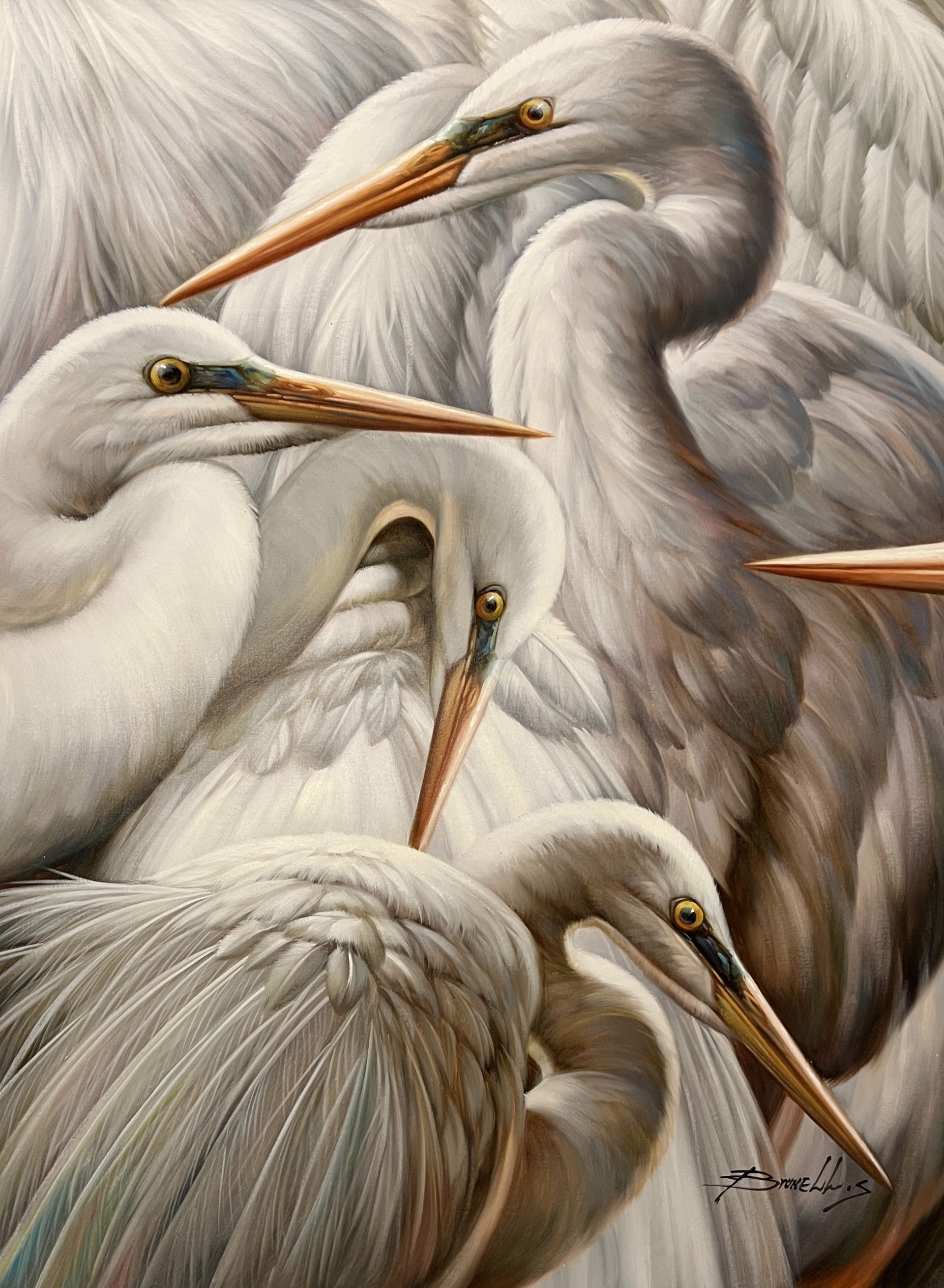 EGRET GROUPING by BRUNELLY