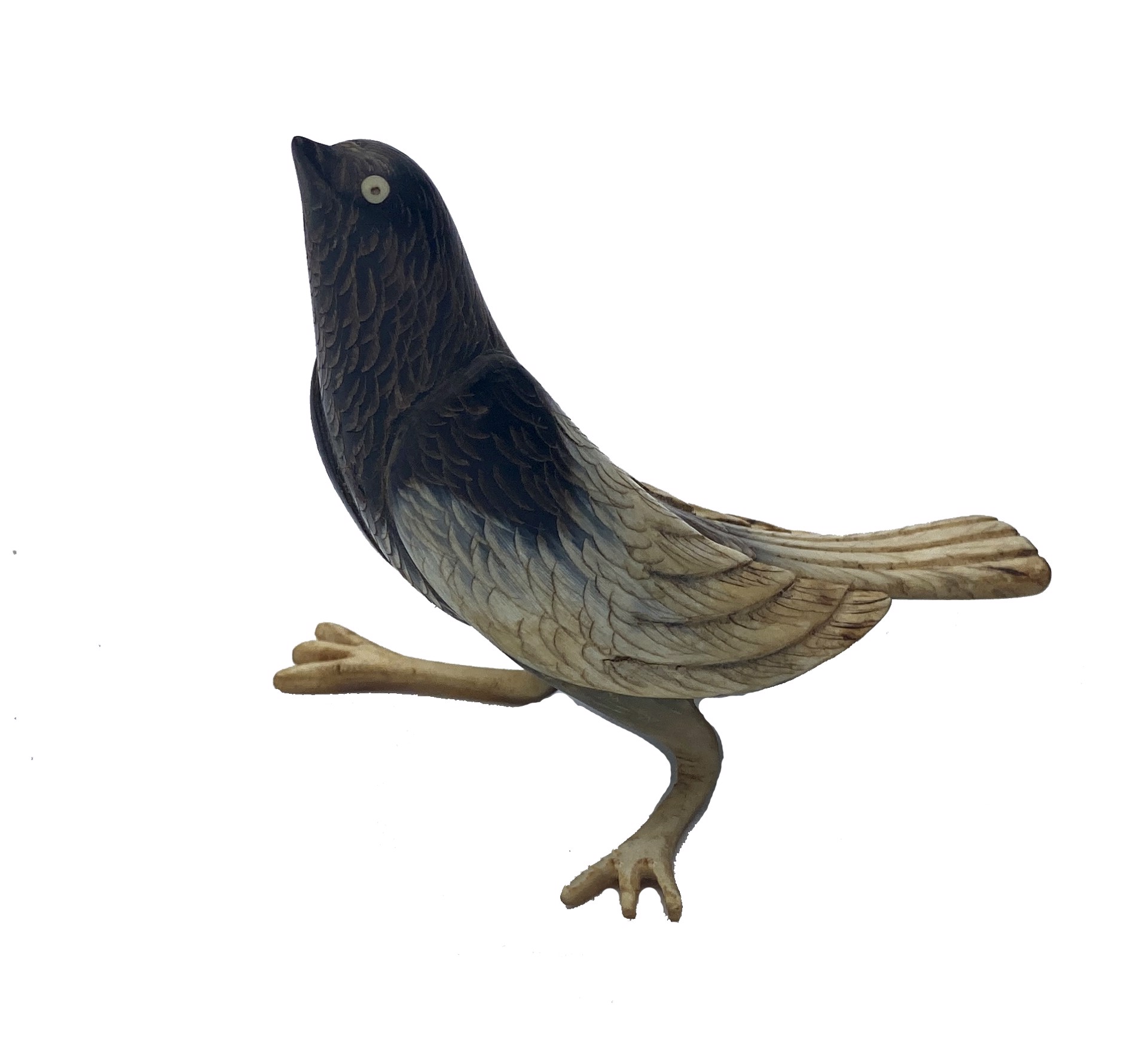 DS-33: small standing light and dark carved horn bird by Dan Super