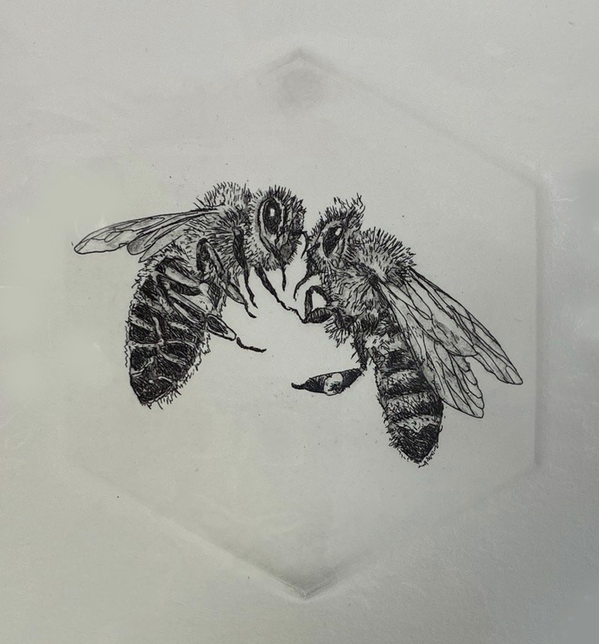 Honey Bee #2 by Marit Berg