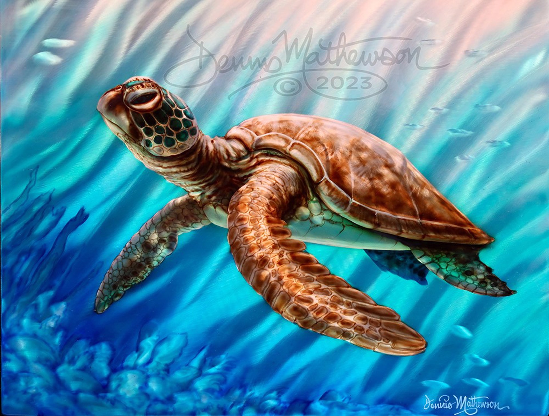 Traveling Turtle by Dennis Mathewson