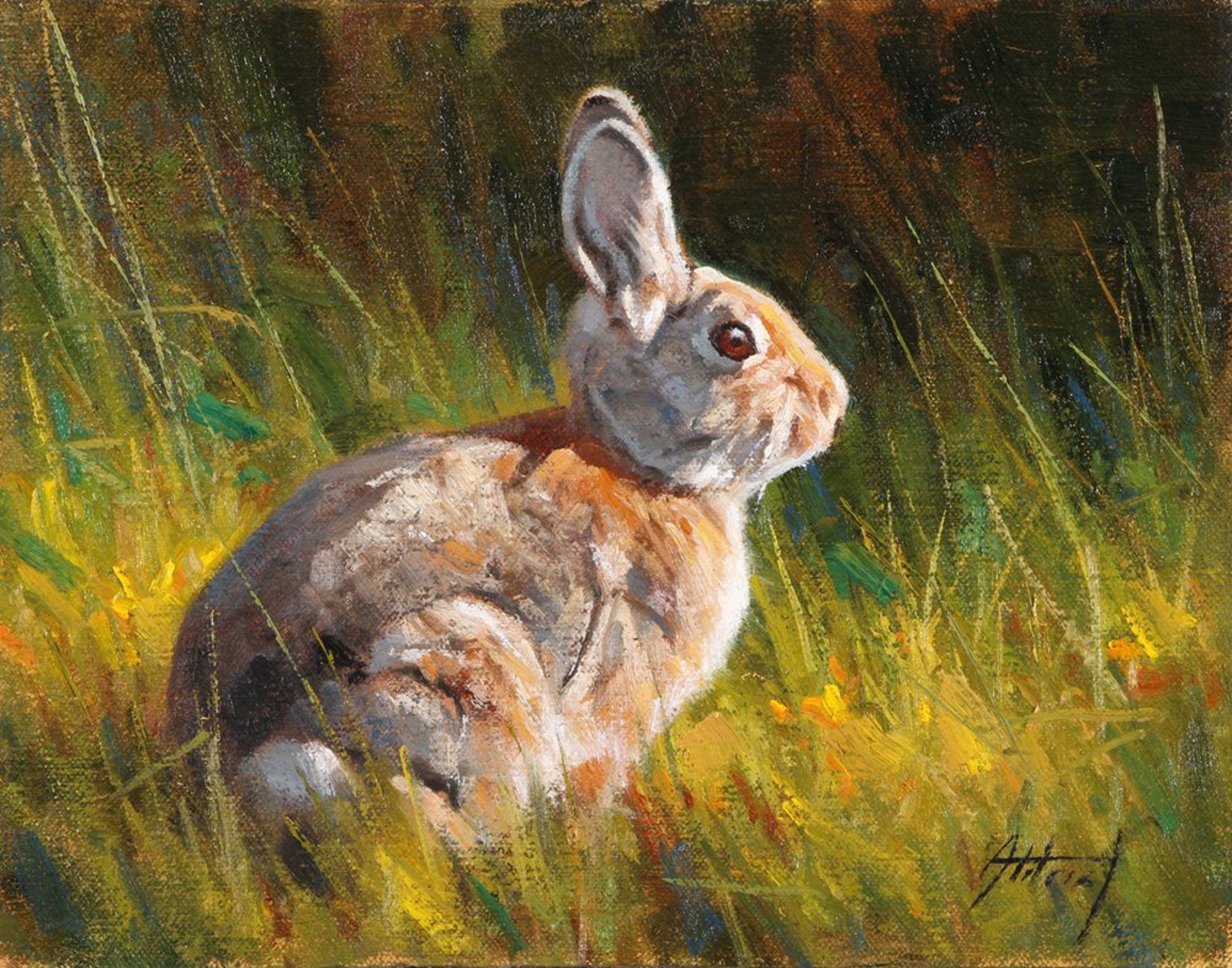 Rabbit by Ed Aldrich
