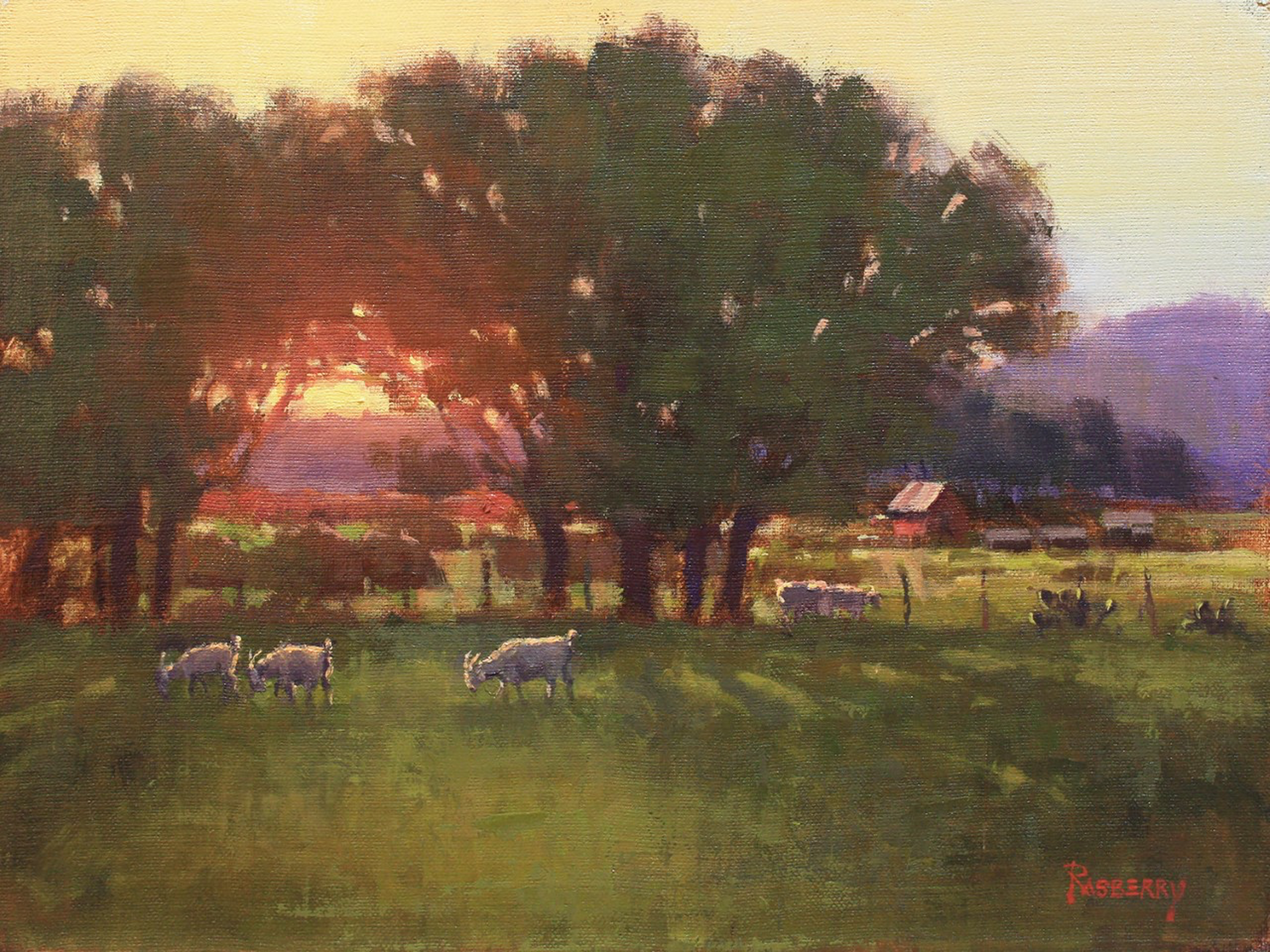Hill Country Sunrise by John Rasberry