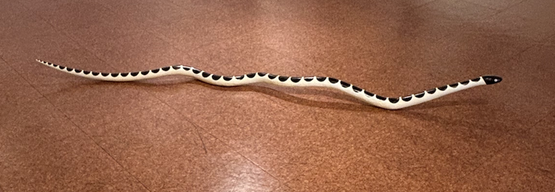Large driftwood snake by Matt Messinger