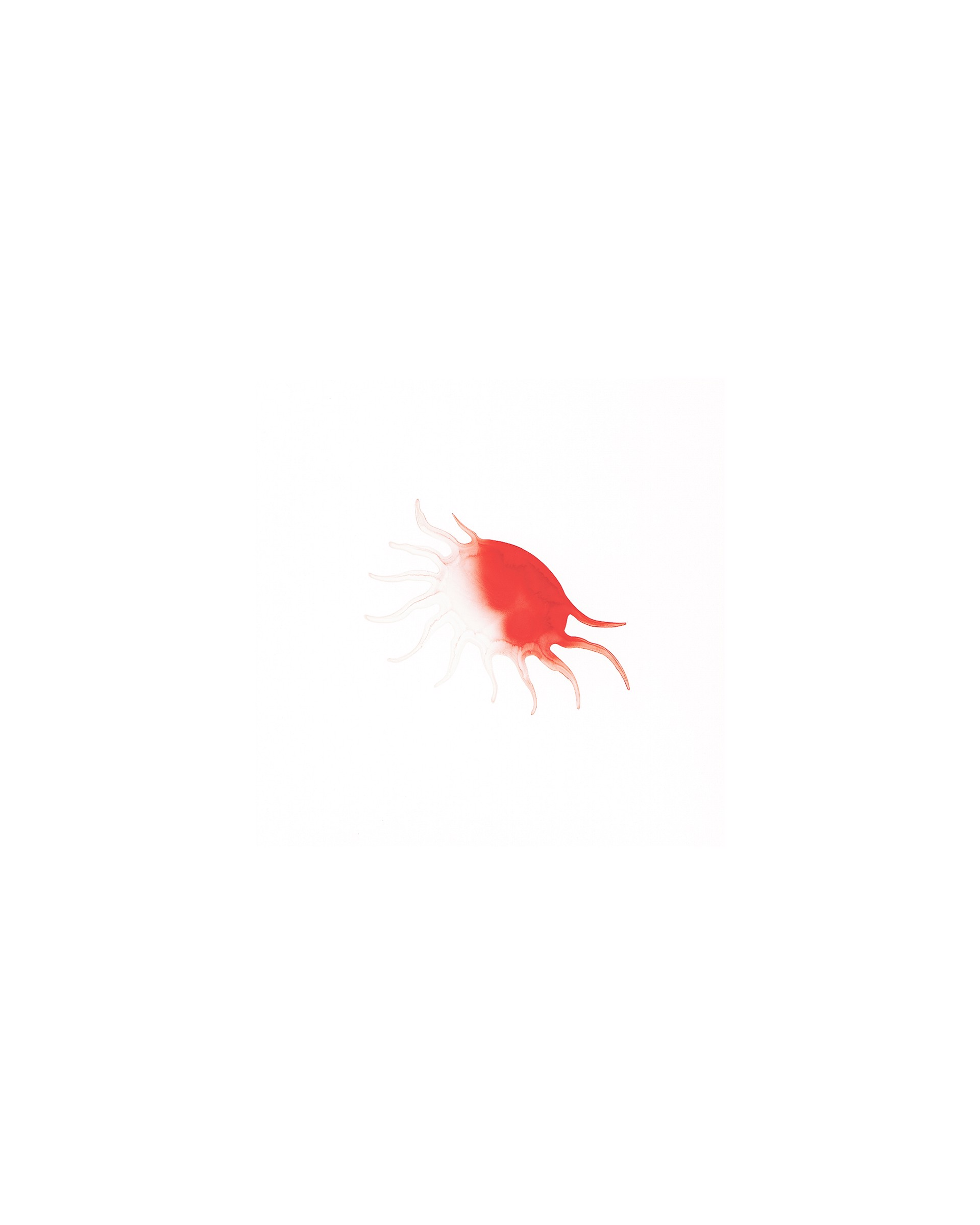 Sun #56 by Jugnet + Clairet