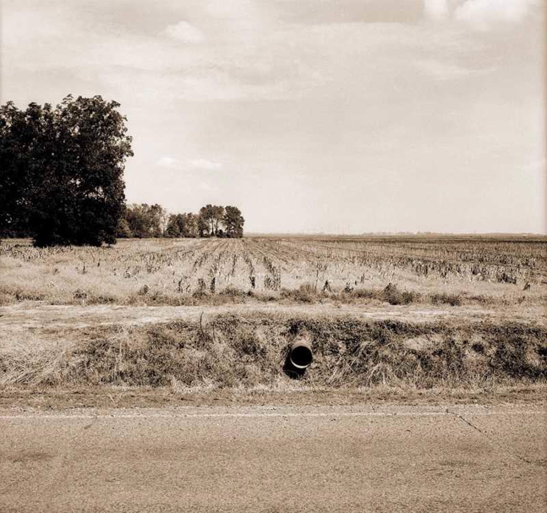 Drain/Fields, Mississippi Delta by George Yerger