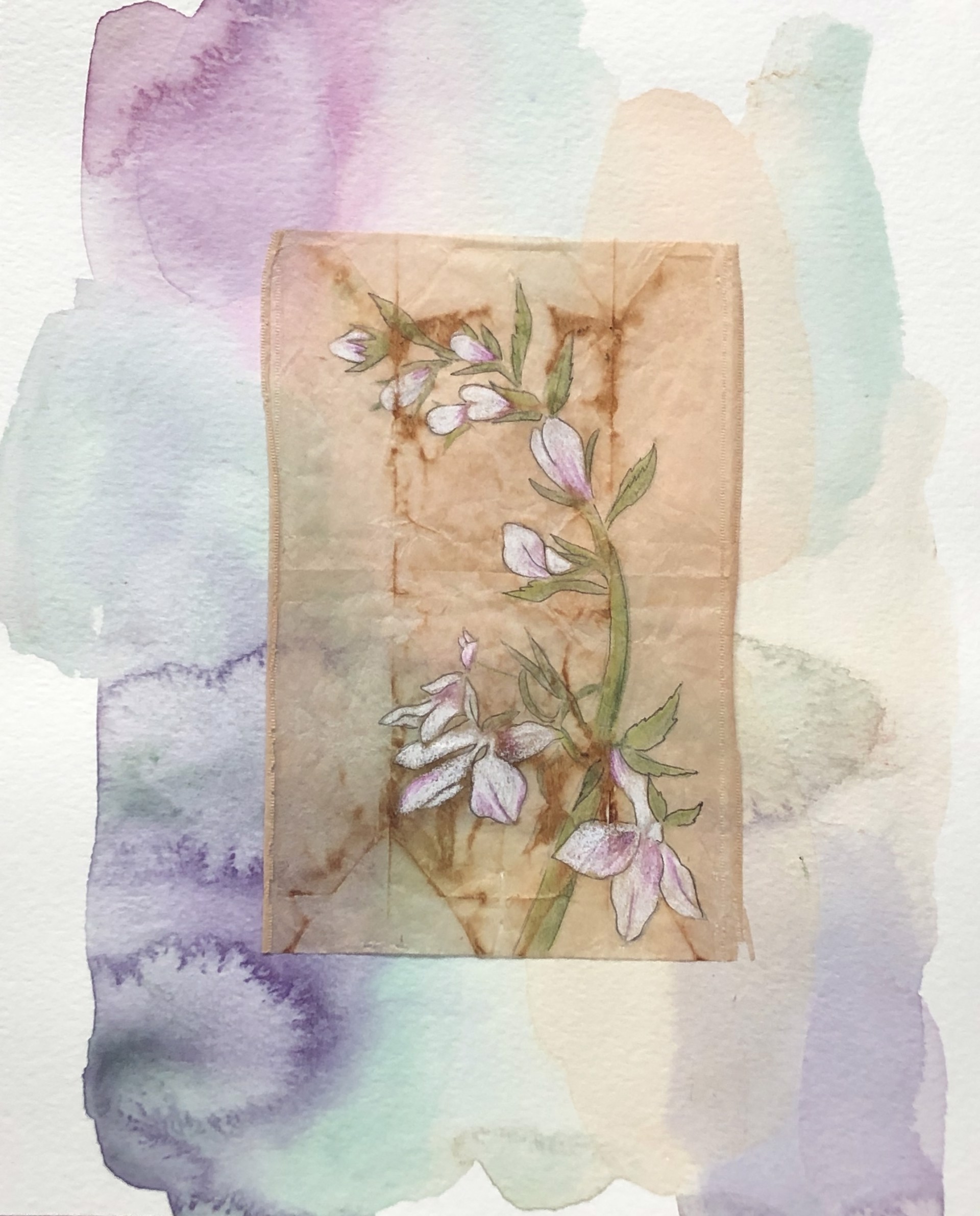 Wild Flowers by Shannon Deana Johnson