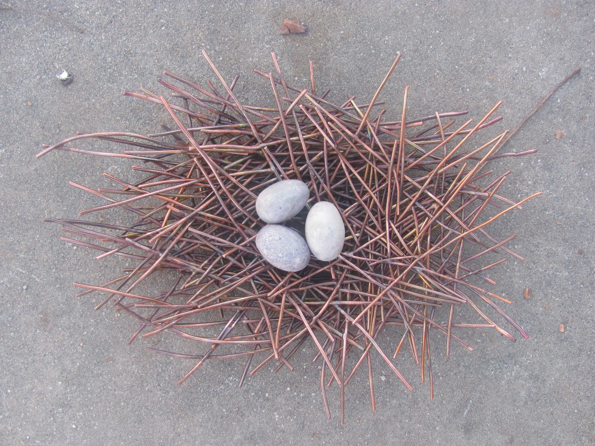 Mini Green Heron Nest by Stevie Jo Lake