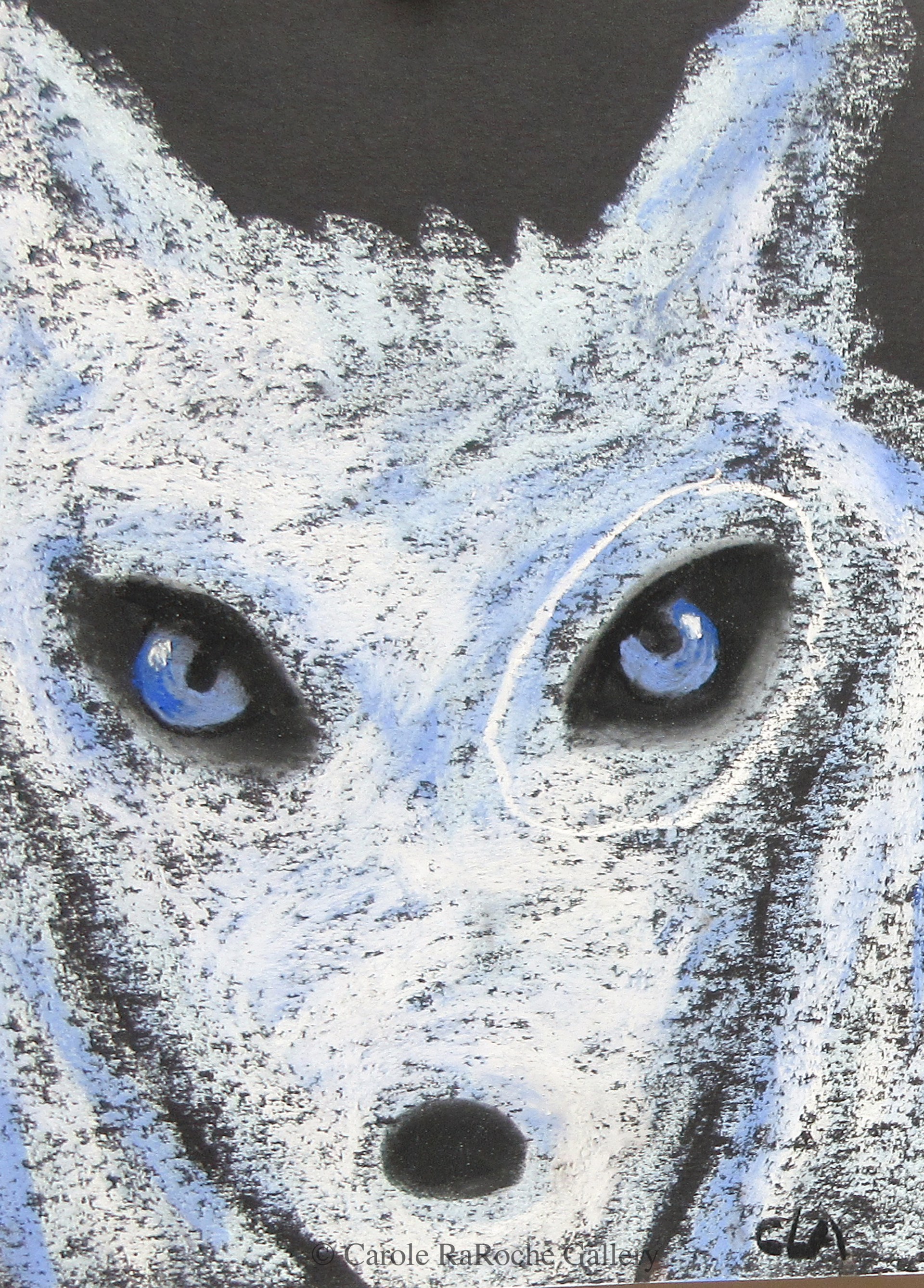 YOUNG ARCTIC WOLF    -SOLD- by Carole LaRoche