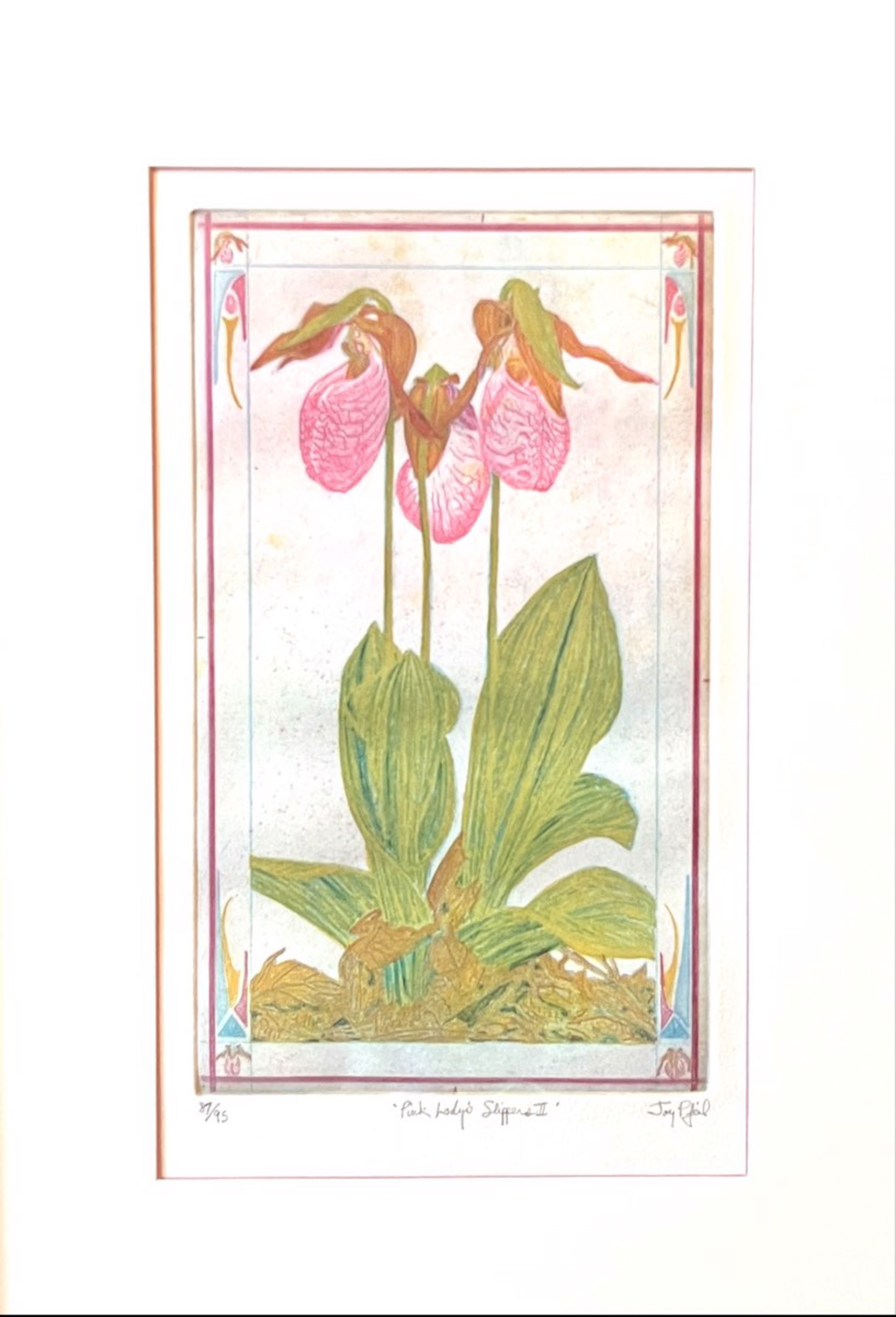Pink Lady's Slipper by Jay Pfeil